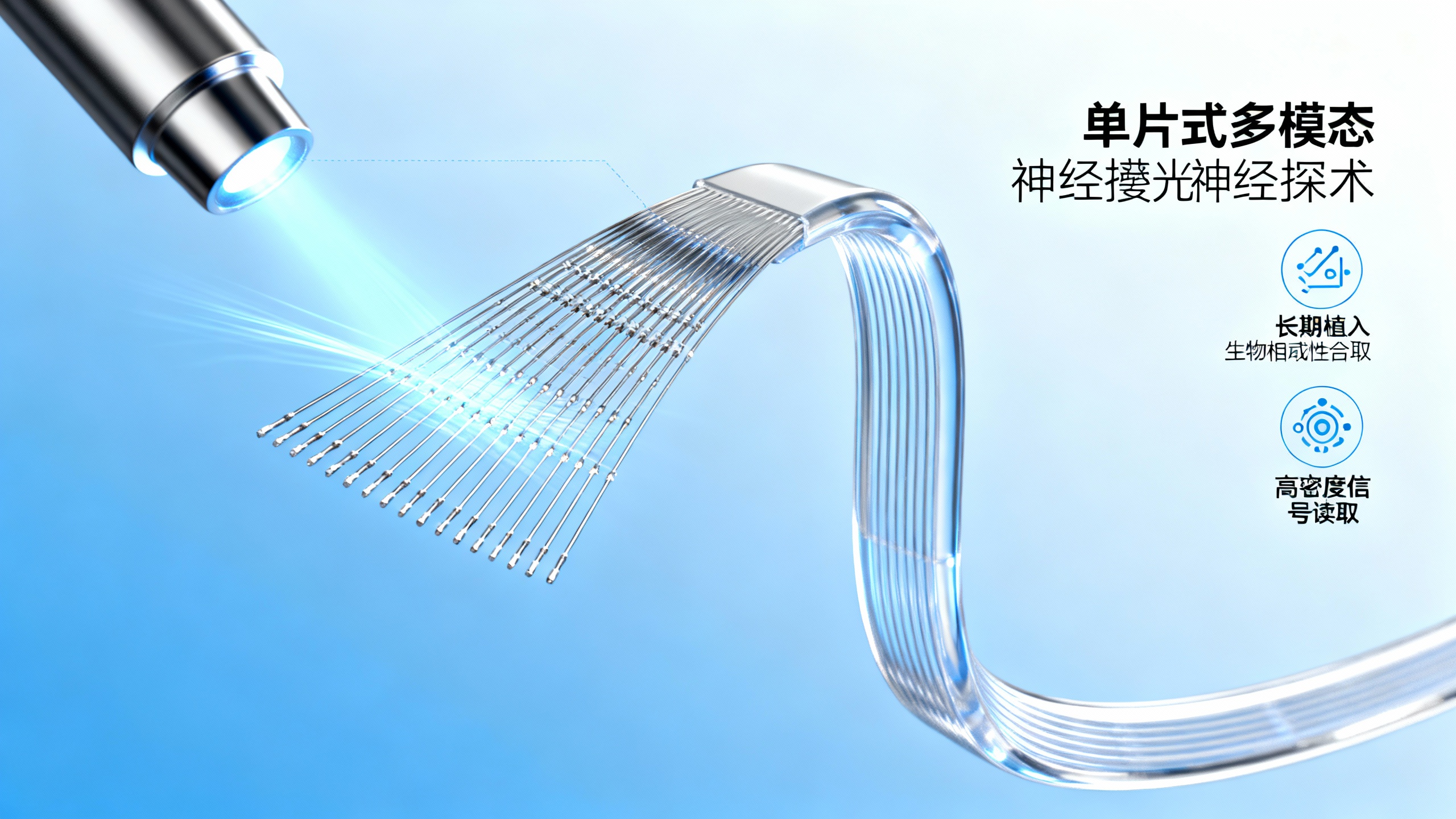 把光纤做成“神经USB”！16周不卡顿的脑机接口黑科技