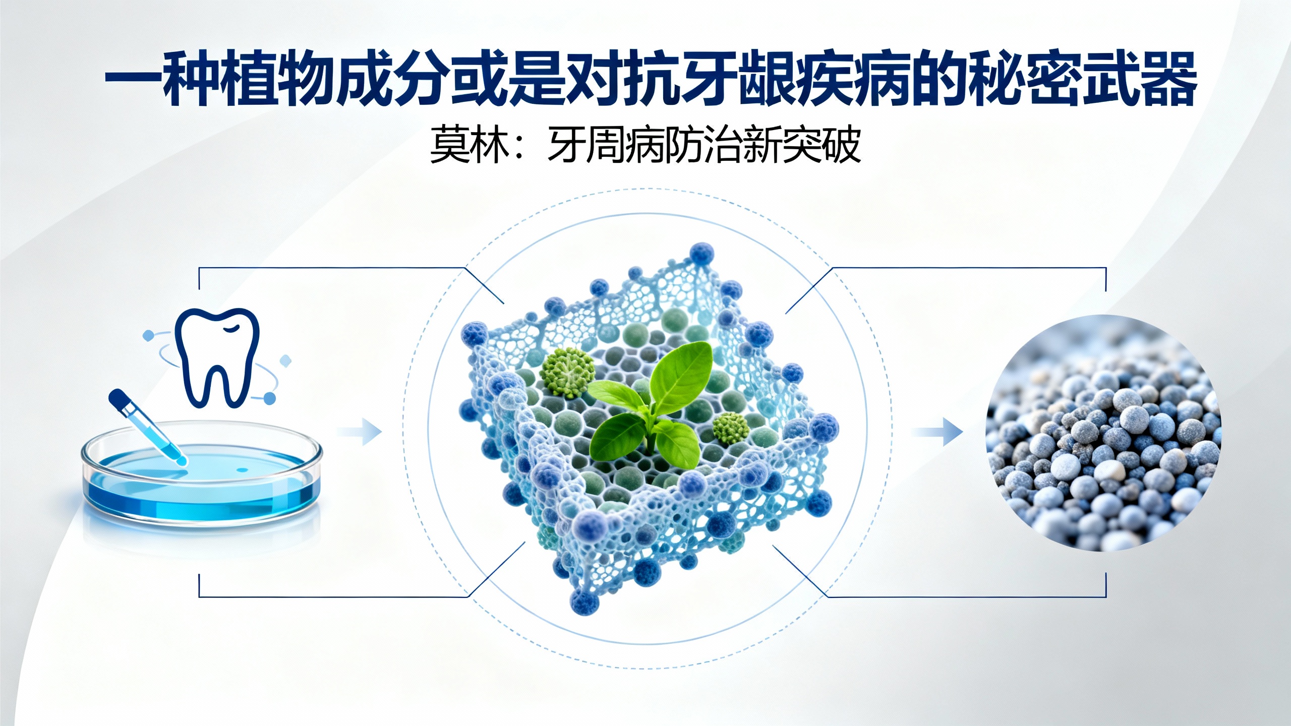 植物界的“牙线”？这抹黄粉让牙菌斑连夜跑路！