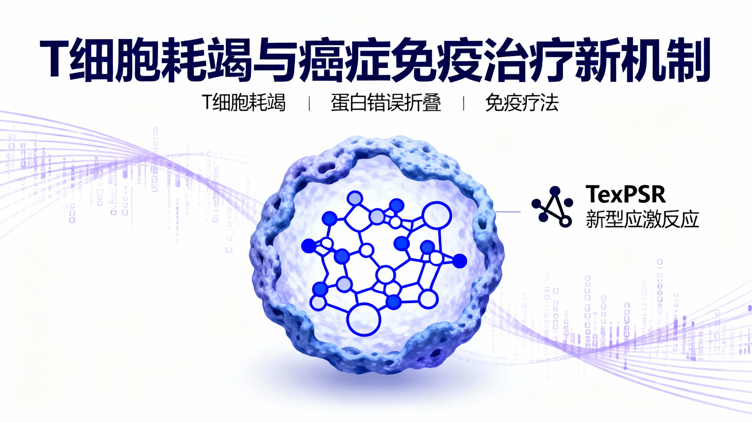 科学家终于揭开癌症免疫疗法为何会失败的秘密