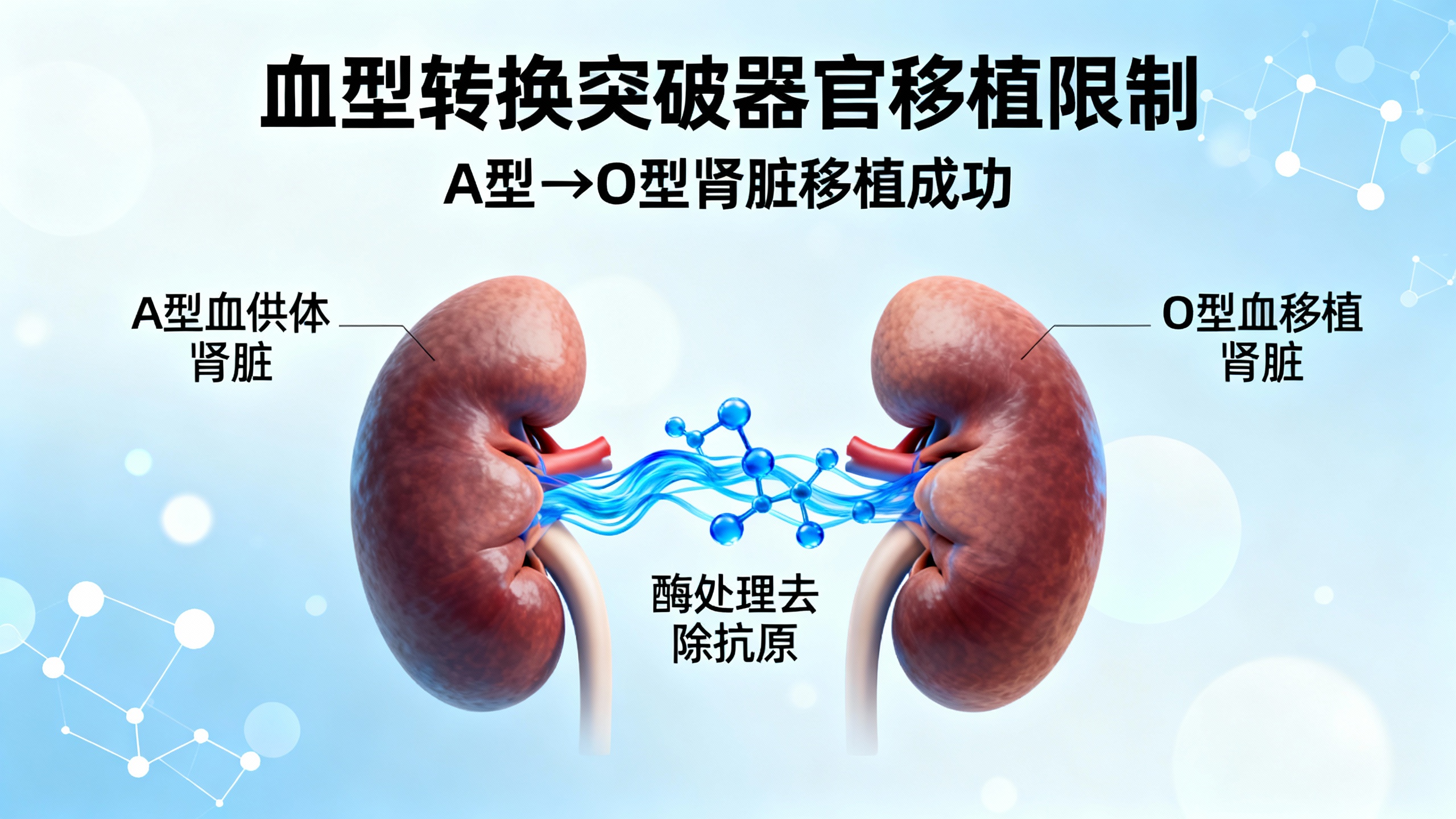 【全球首例！A型肾秒变O型万能肾，68岁爷爷成功“尝鲜”】