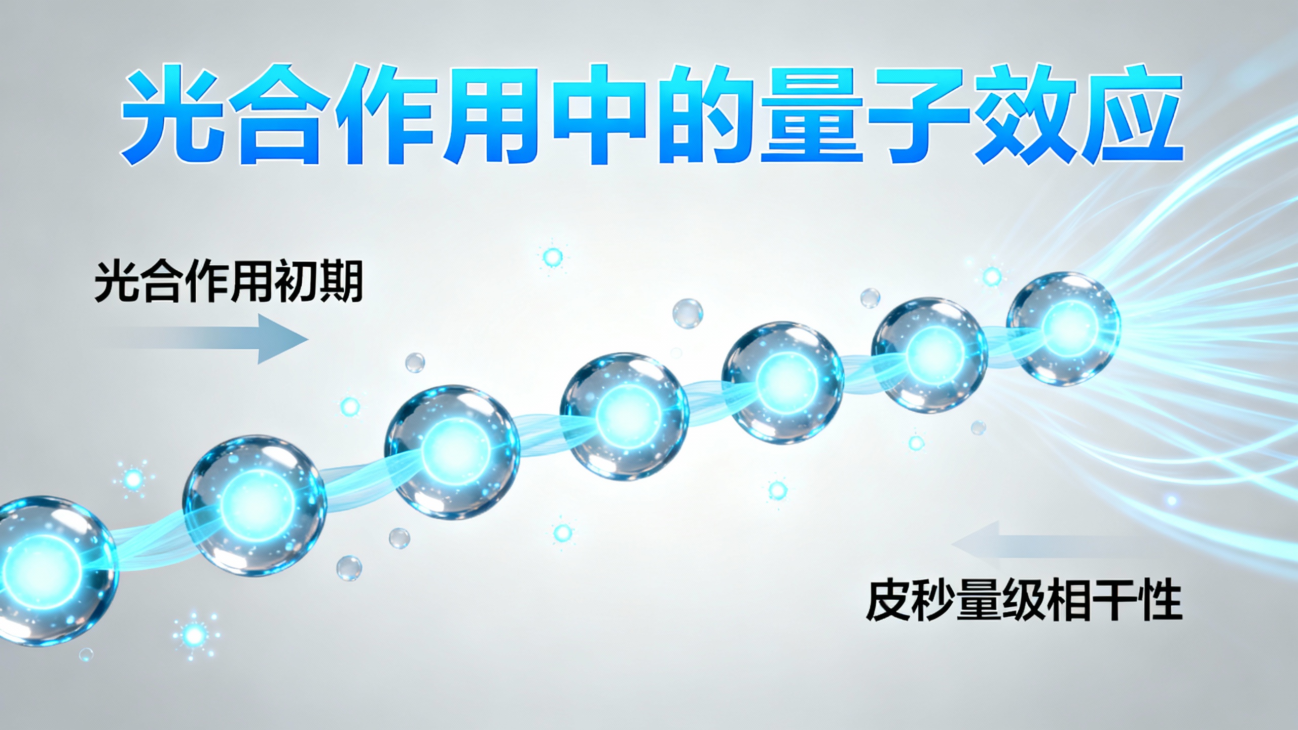 揭秘光合作用中持续存在的量子效应