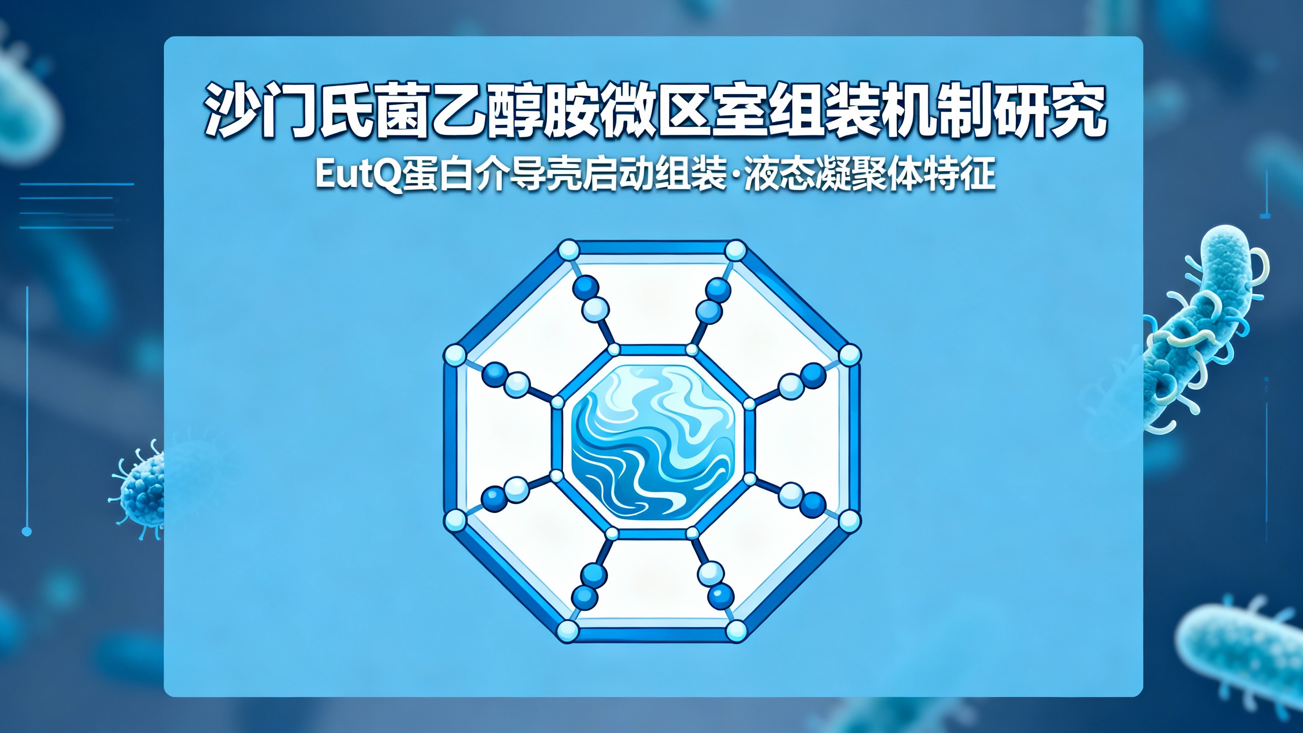 一种用于利用乙醇胺的蛋白质“小器官”是如何形成的