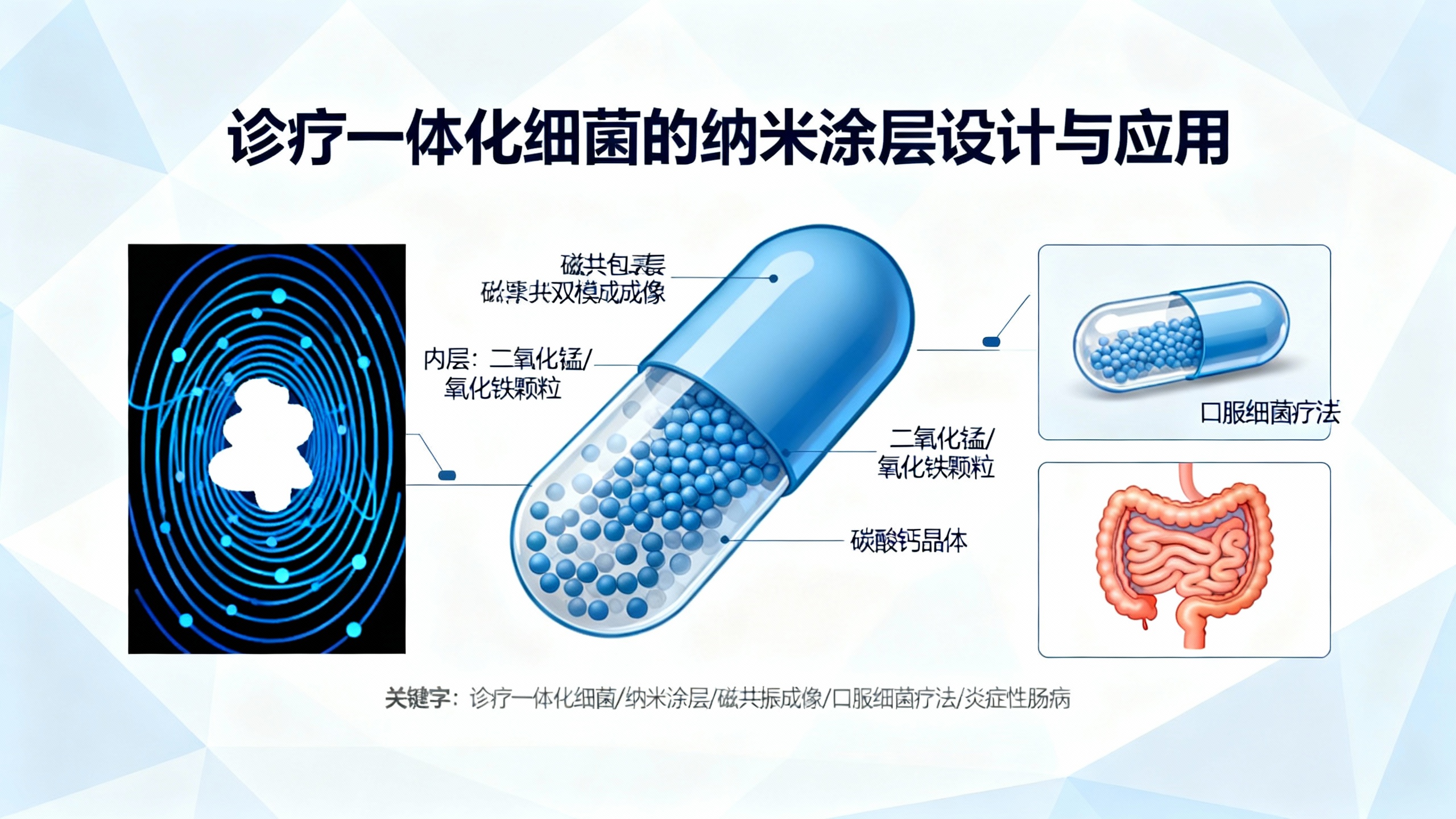 用“纳米防护衣”打造能诊断和治疗疾病的智能细菌
