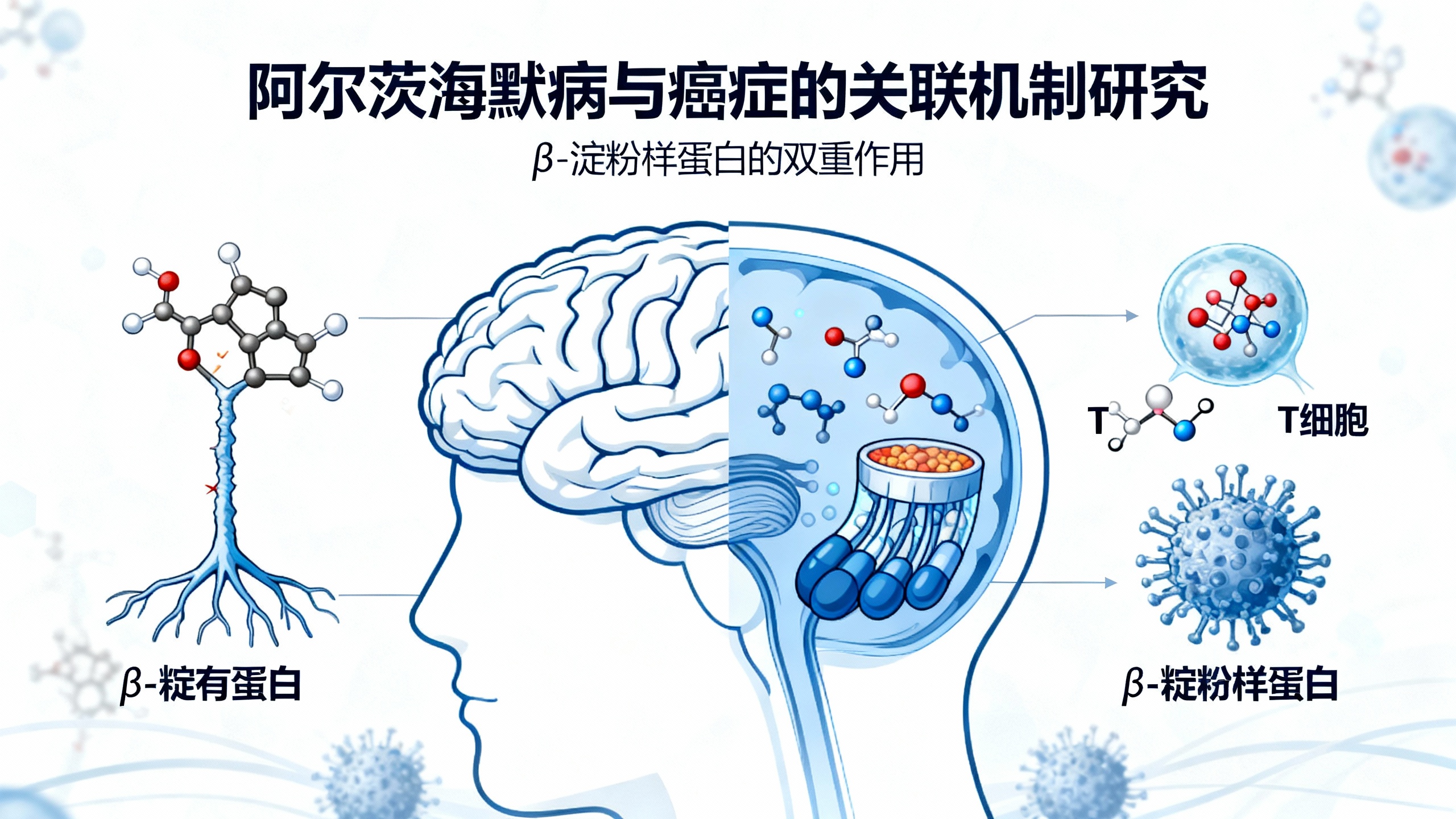 一种与阿尔茨海默病有关的有毒蛋白，可能是抗癌的关键