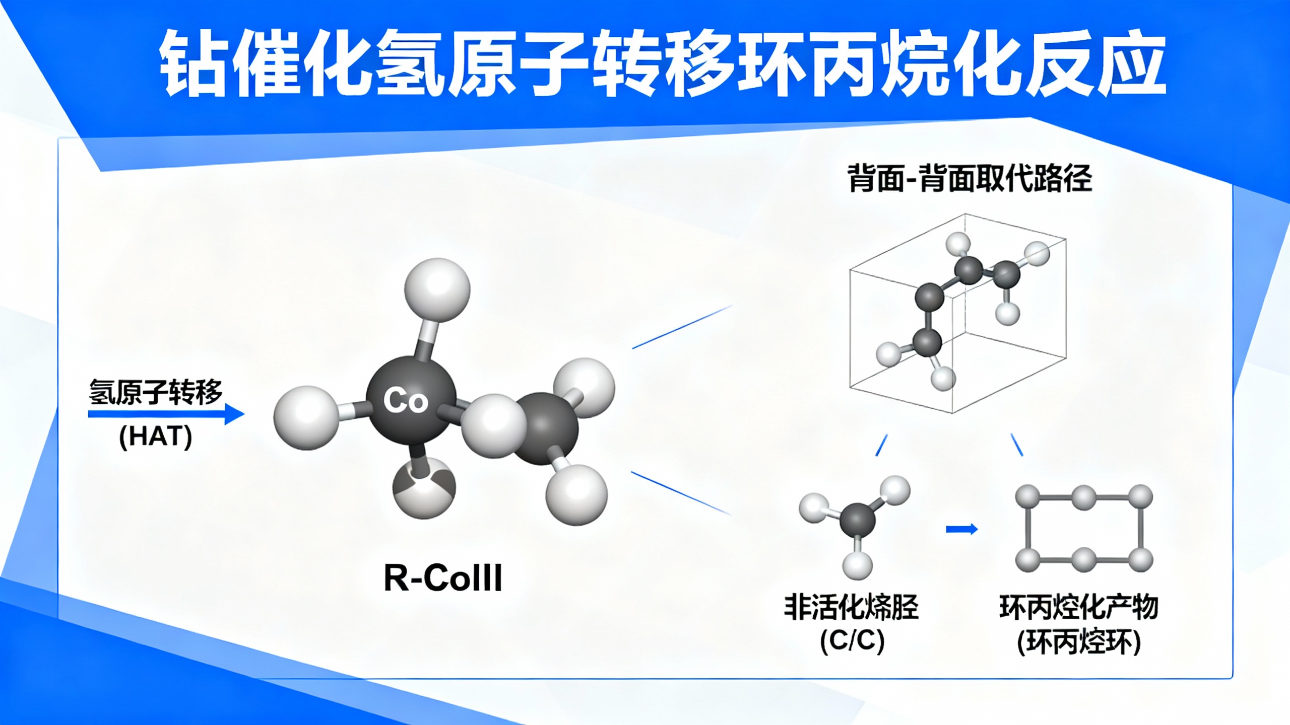 揭秘钴催化中的“分子钥匙”:带负电的有机钴如何精准完成立体化学反应