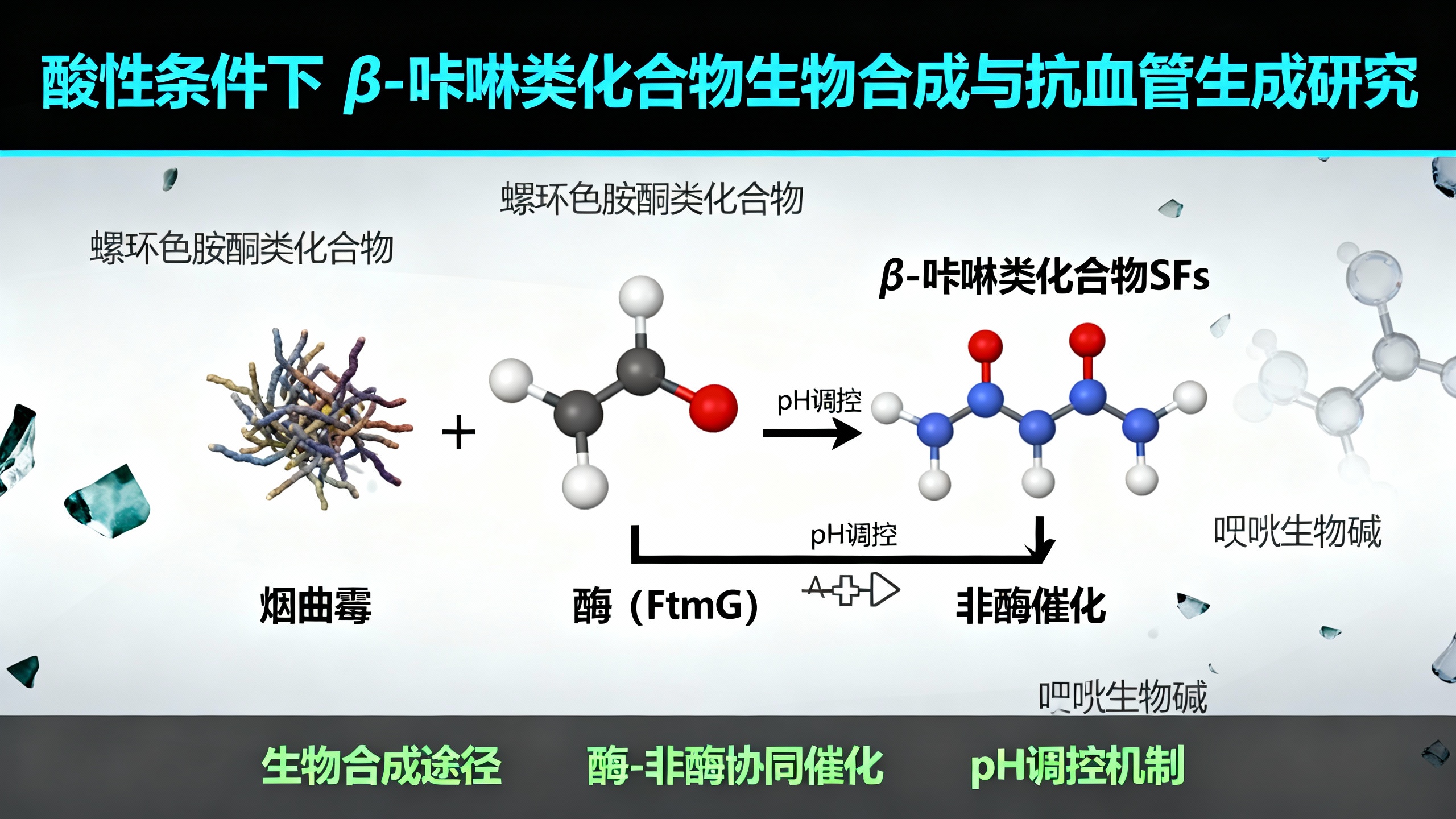 曲霉菌中酶与非酶协同作用生成两类特殊化合物的奇妙机制