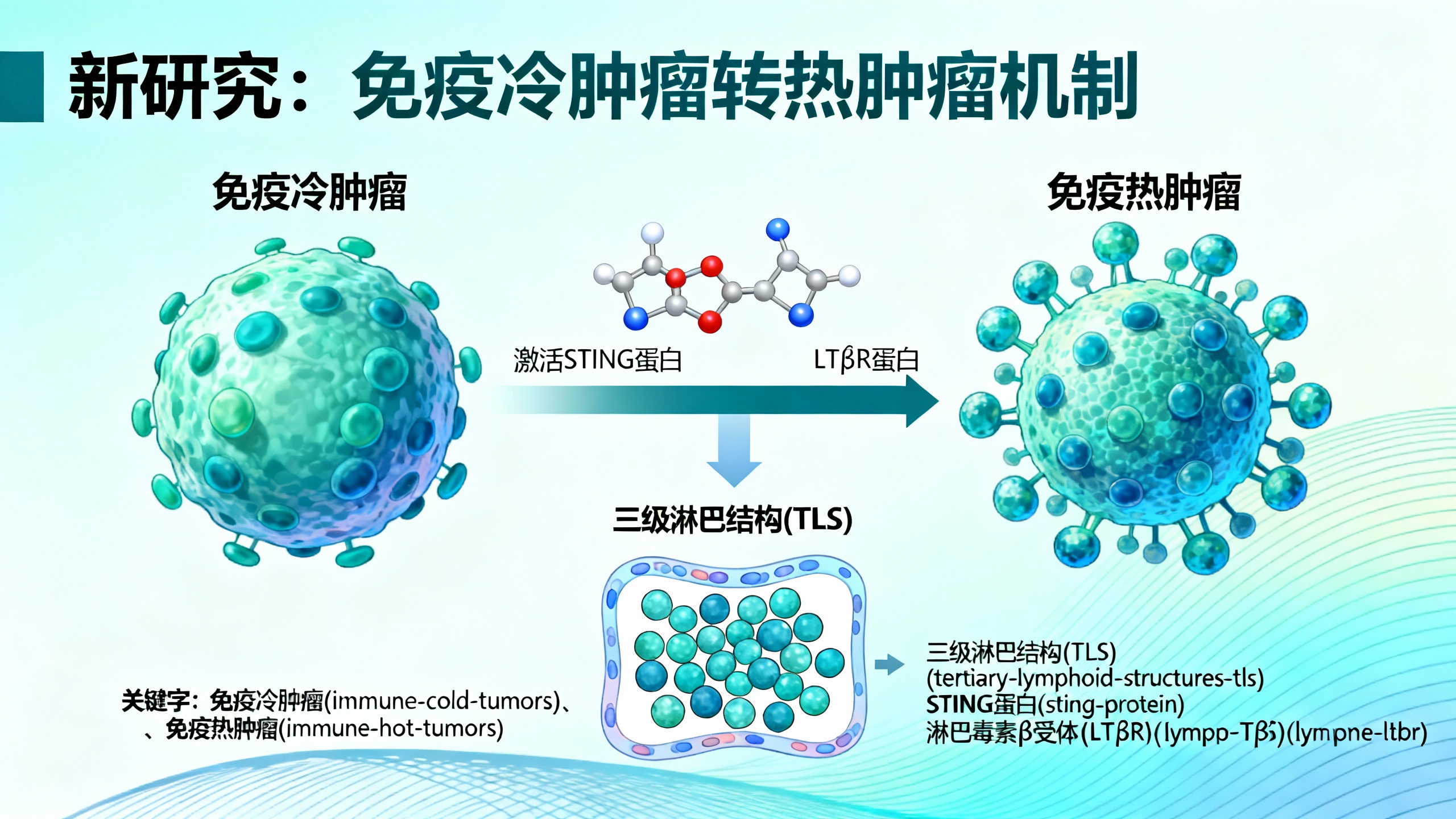 他们找到了让身体攻击癌细胞的“开关”