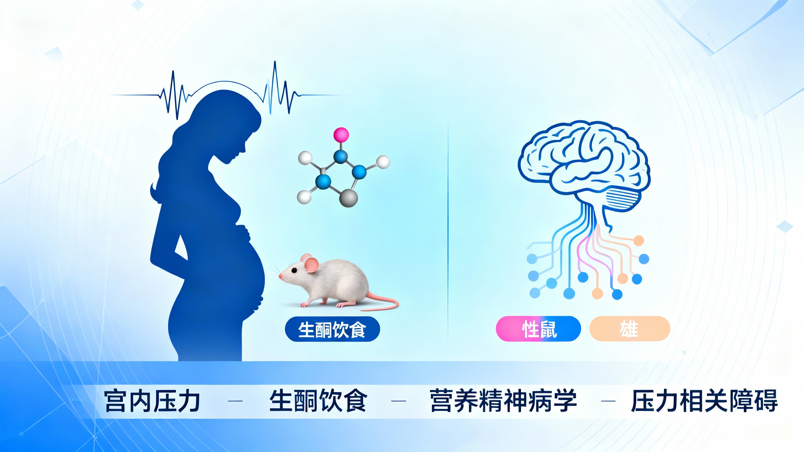 生酮饮食可保护儿童大脑免受早期创伤影响