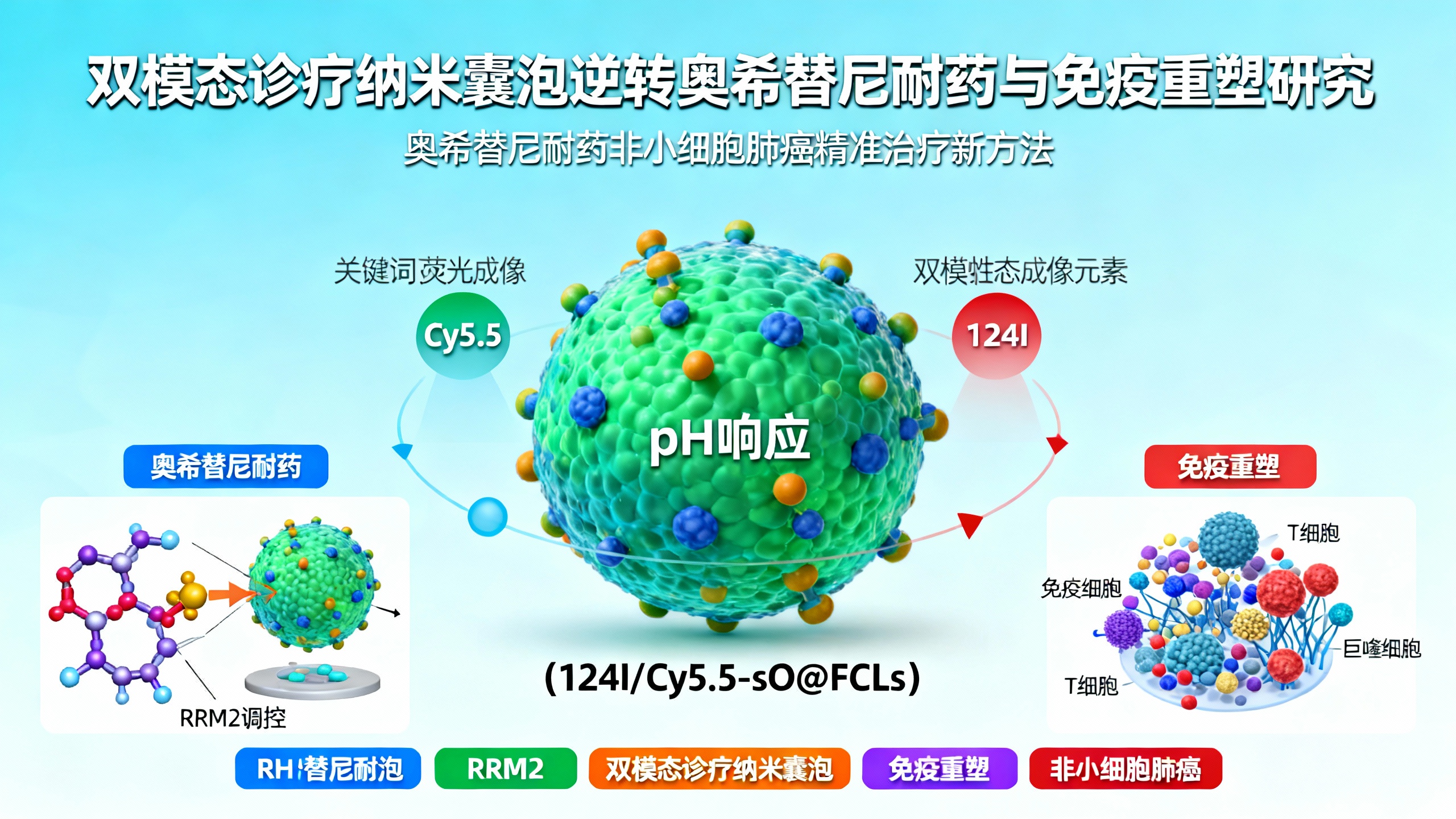 一种新型智能纳米药物克服肺癌耐药并激活免疫反应