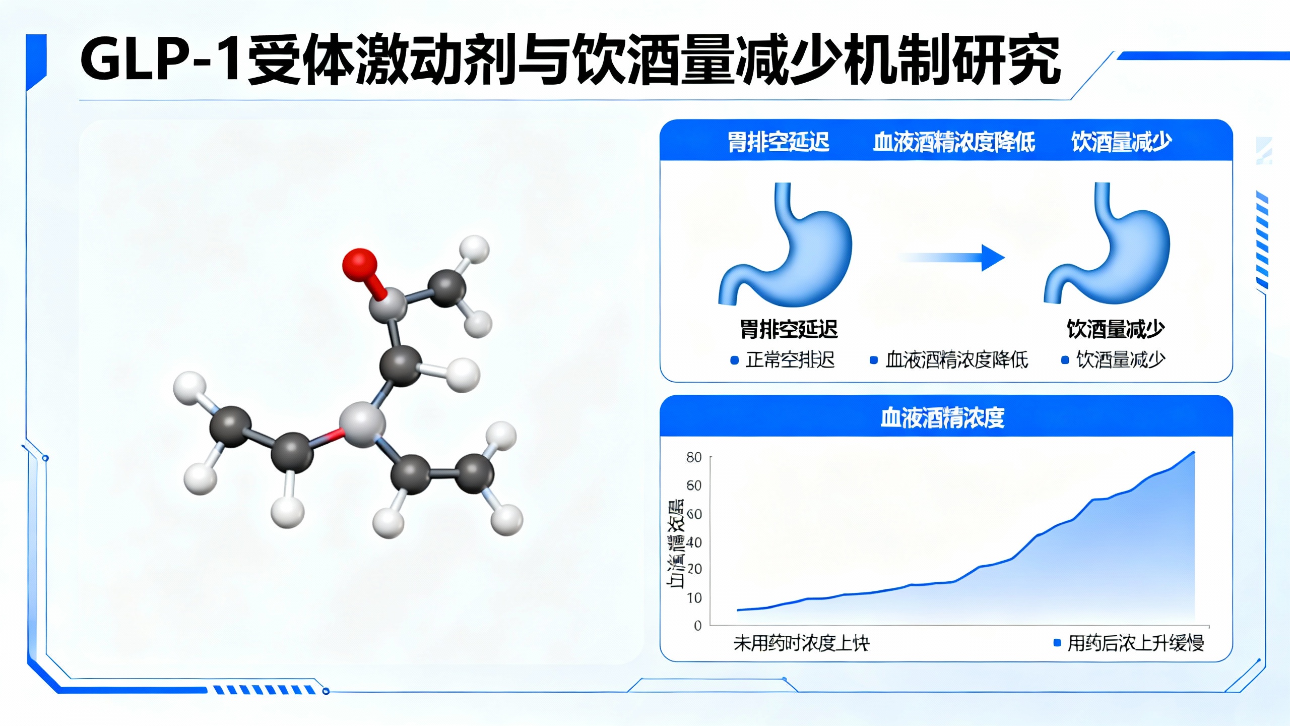 司美格鲁肽能帮你少喝酒吗？科学家认为有可能