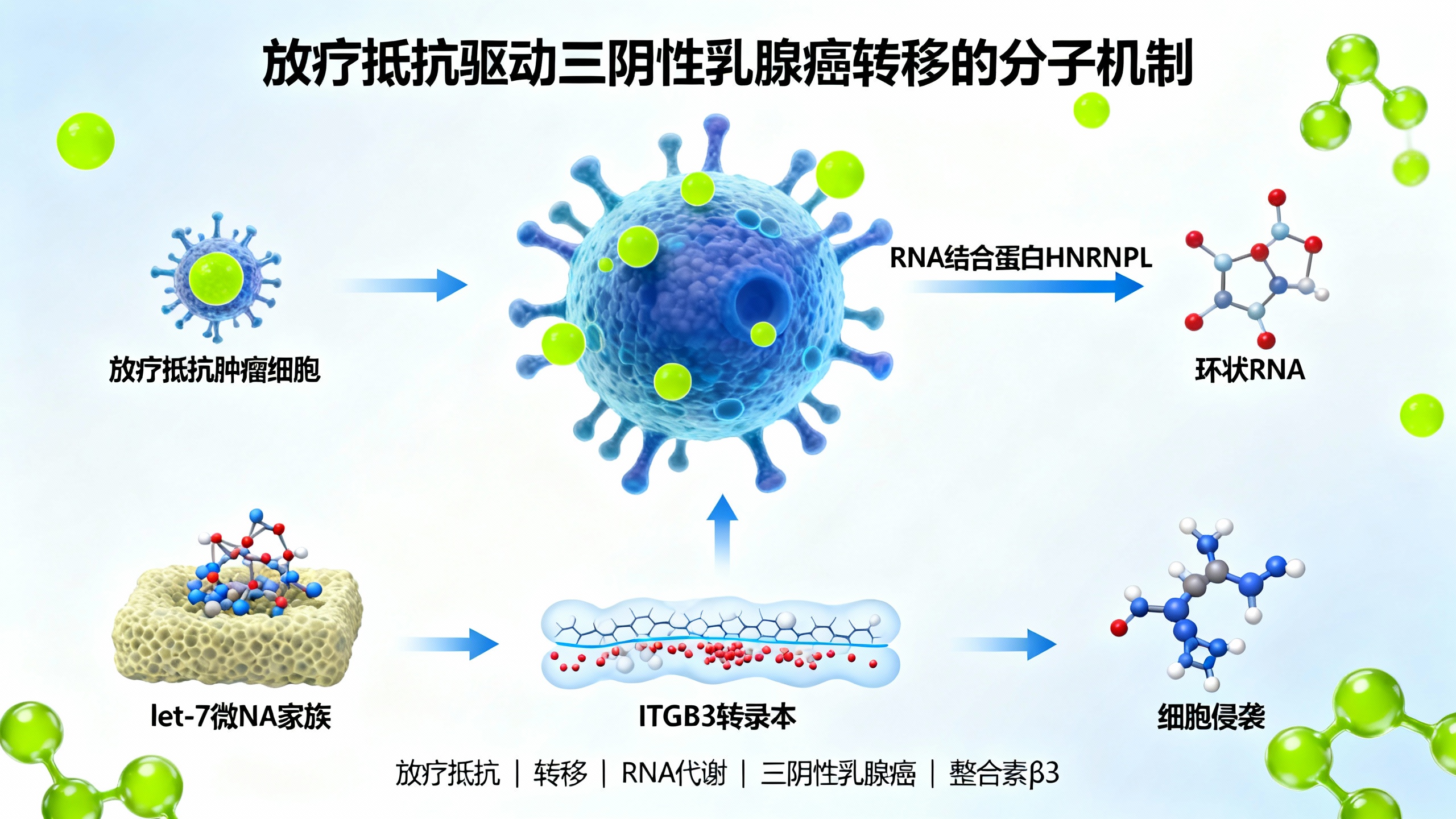 辐射抗性通过改变RNA代谢促进癌症扩散