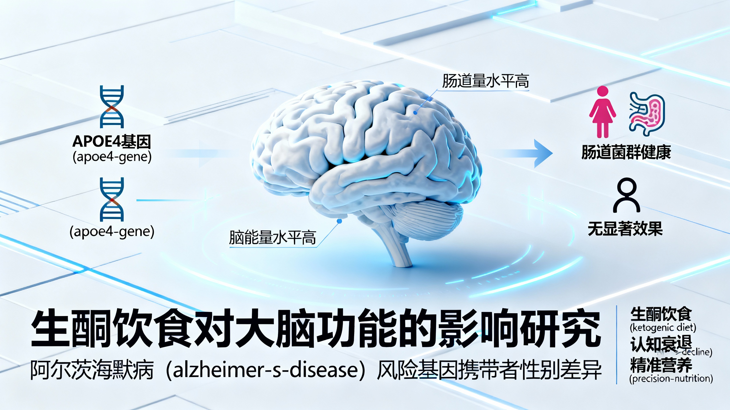 科学家发现高脂生酮饮食或能让你的大脑保持年轻