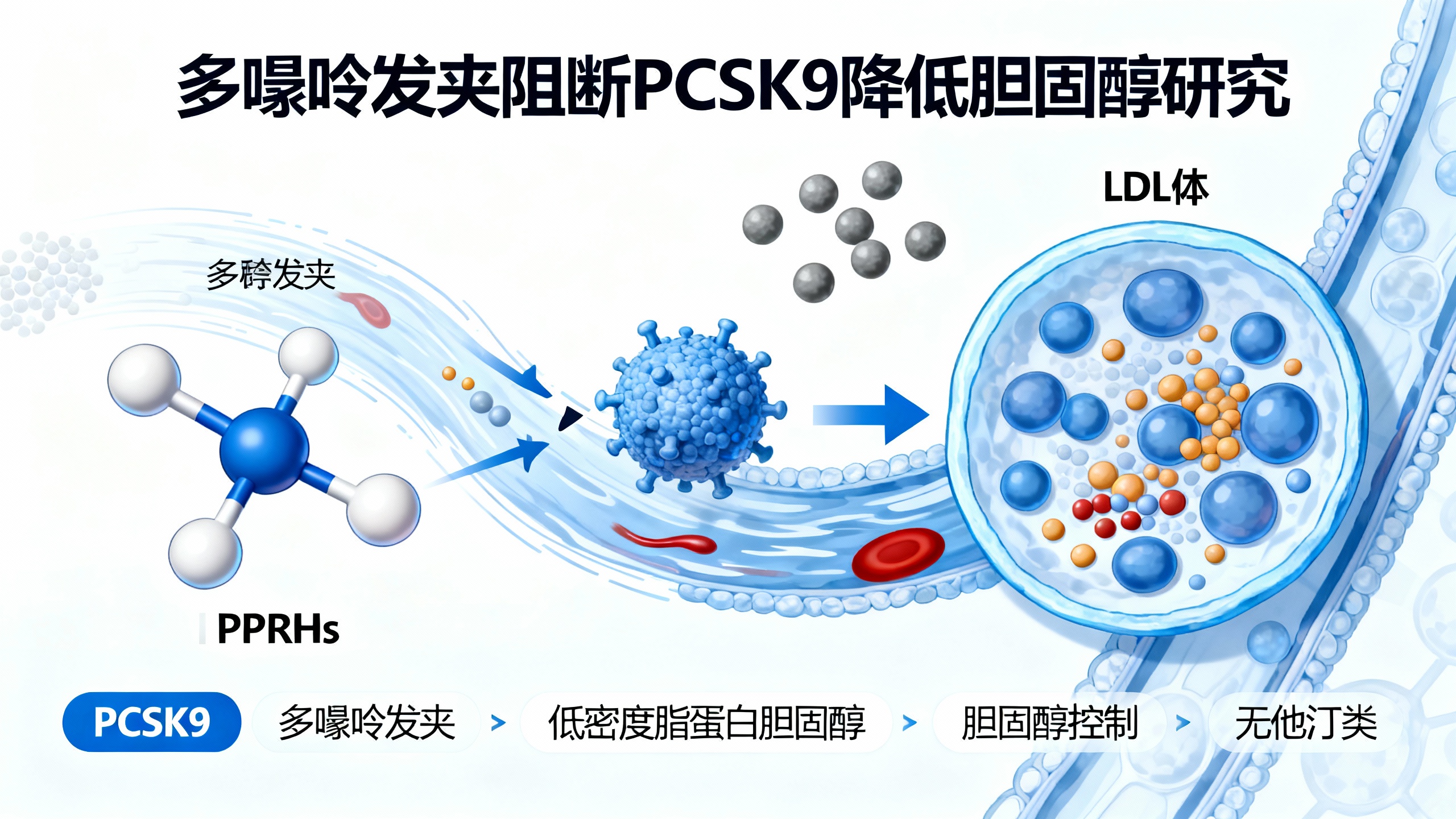 新疗法降低胆固醇近一半，无需他汀药也无副作用
