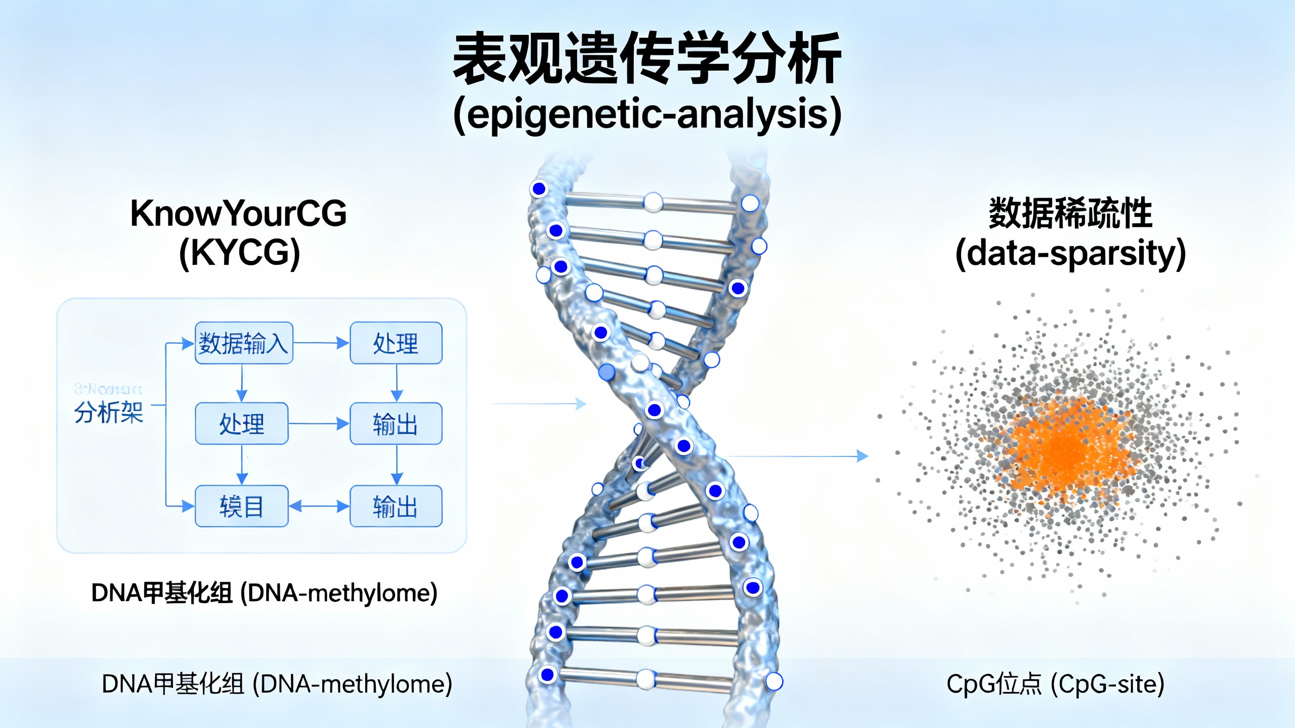 了解你的基因“开关”：轻松读懂DNA甲基化密码