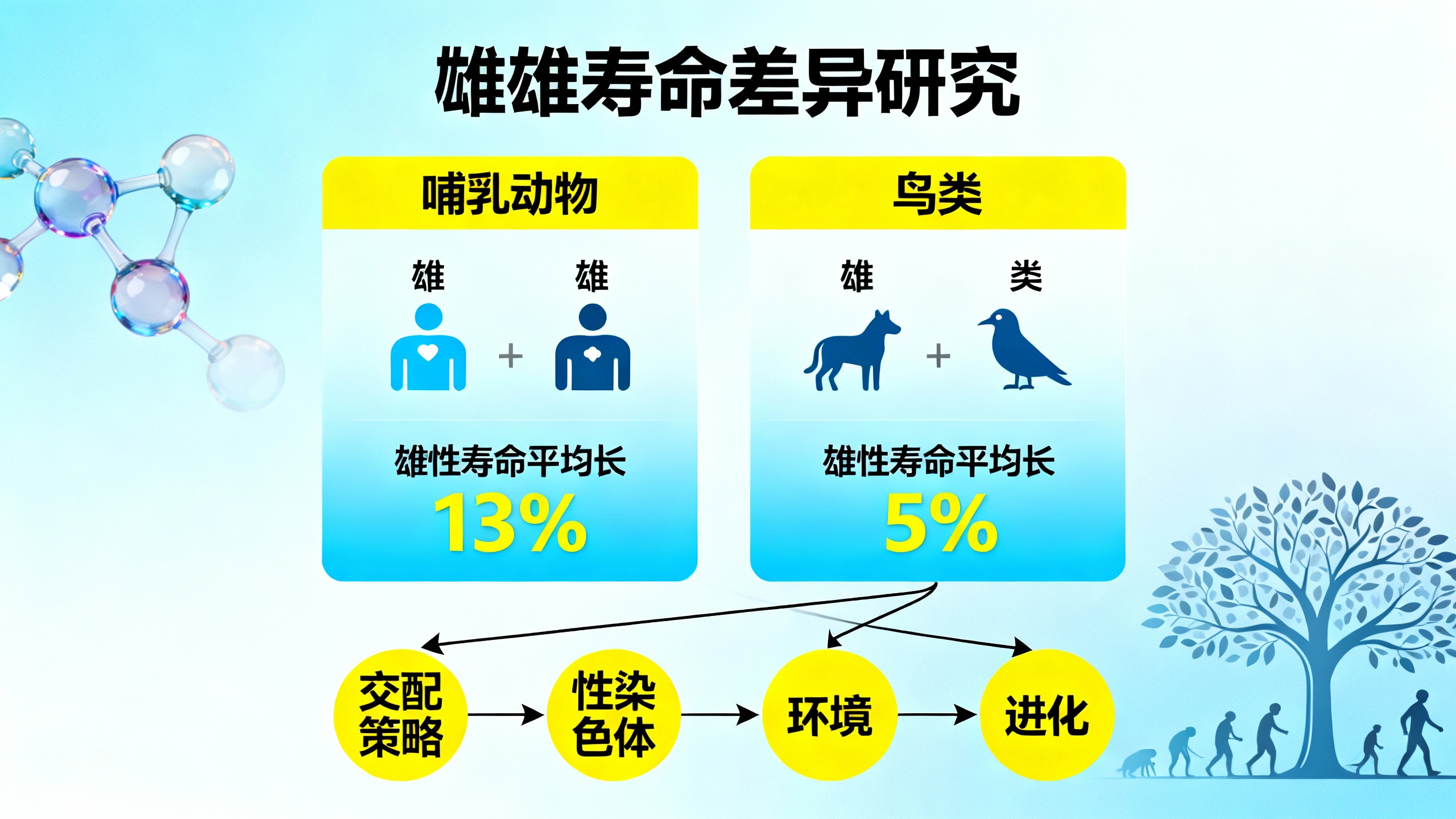 为什么女性比男性长寿？进化给出了答案