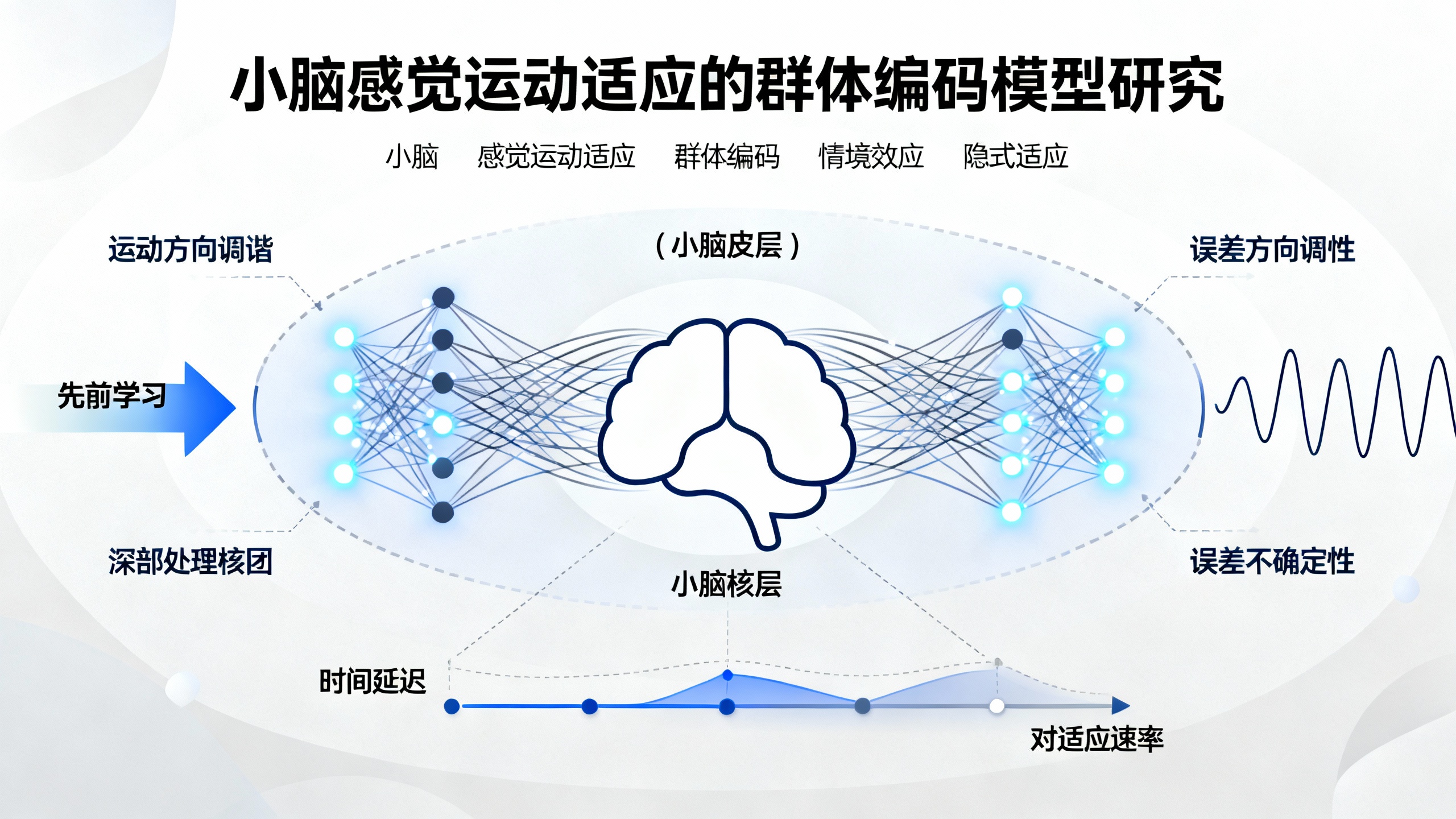小脑模型中神经群体编码如何影响运动适应能力