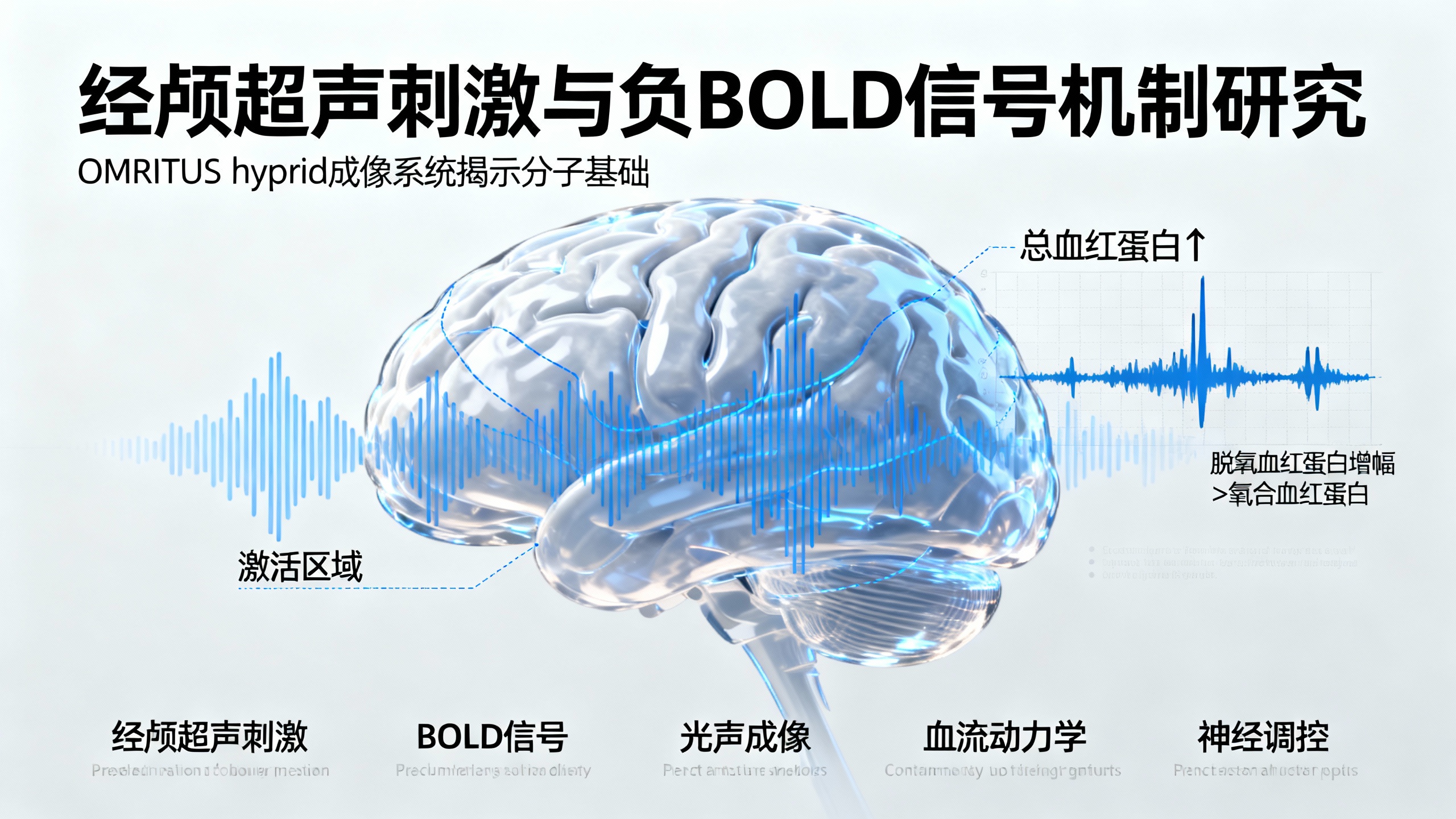 用新型脑成像技术揭开超声刺激大脑的神秘反应