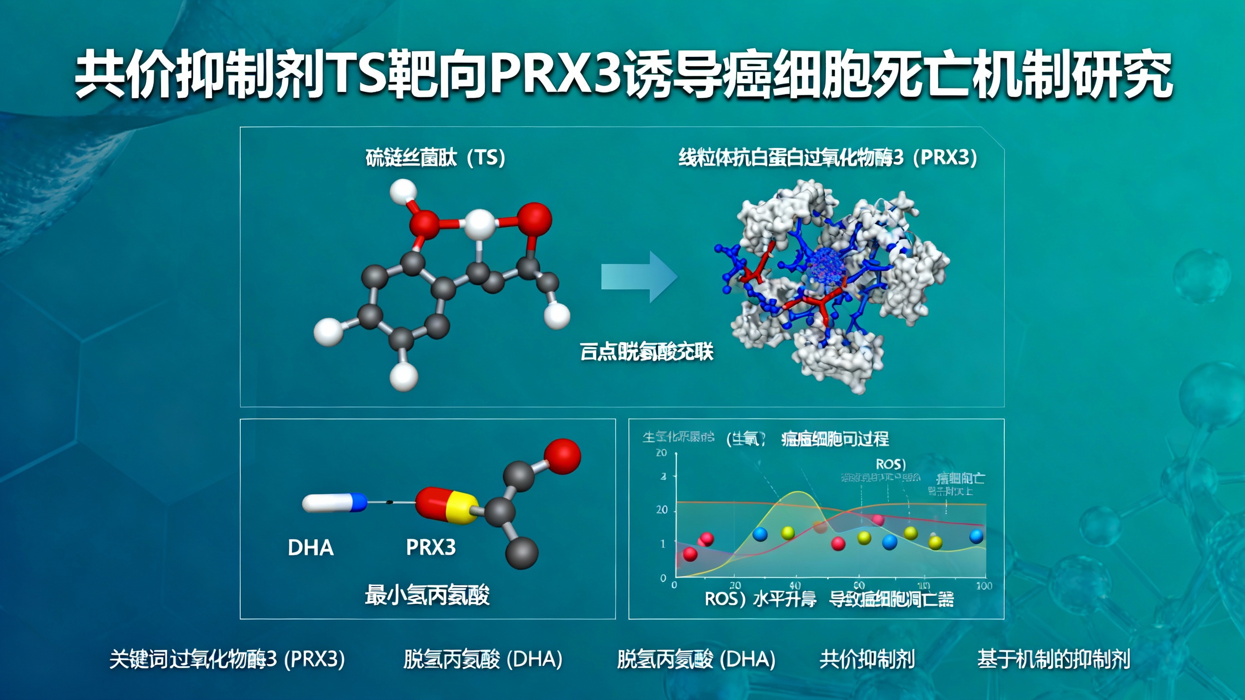 靶向Prx3的抗癌新策略：利用共价“弹头”攻击癌细胞