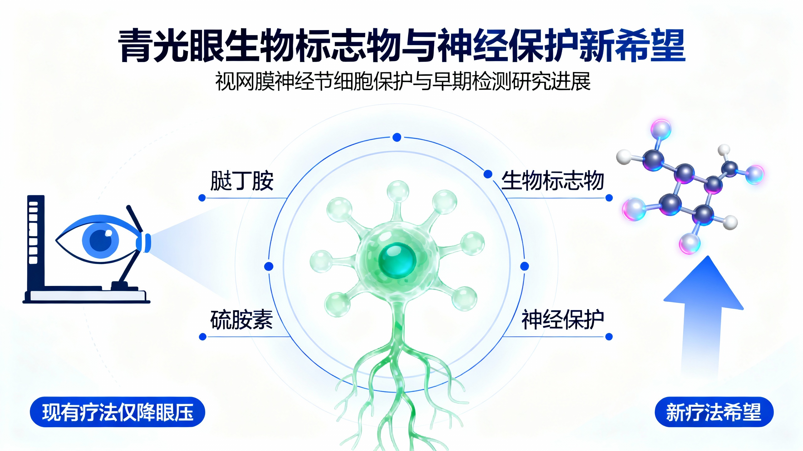 小分子有望在青光眼致盲前阻止它