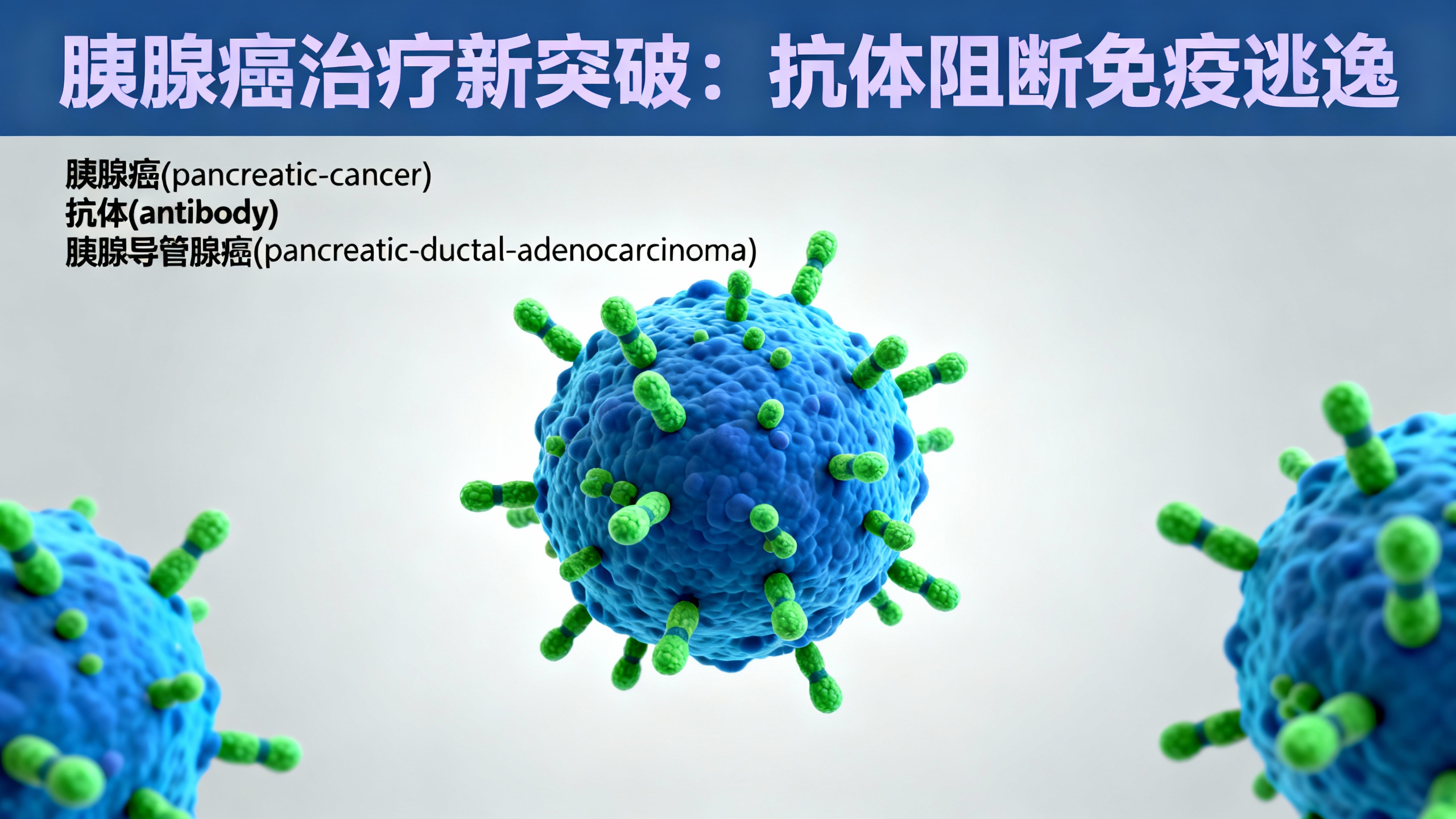 抗体被用来对抗胰腺癌