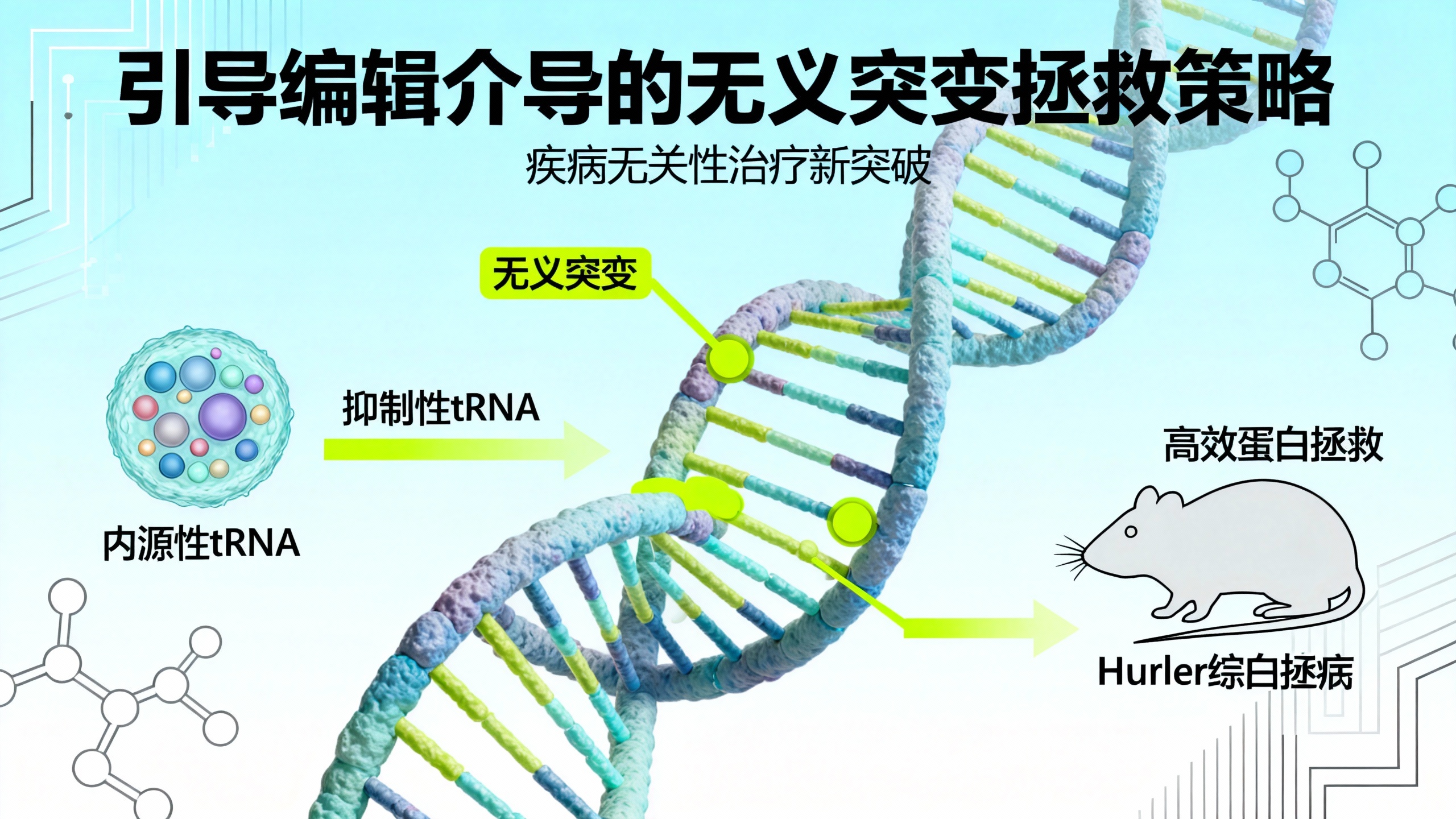 用“通用基因修复工具”治疗多种遗传病