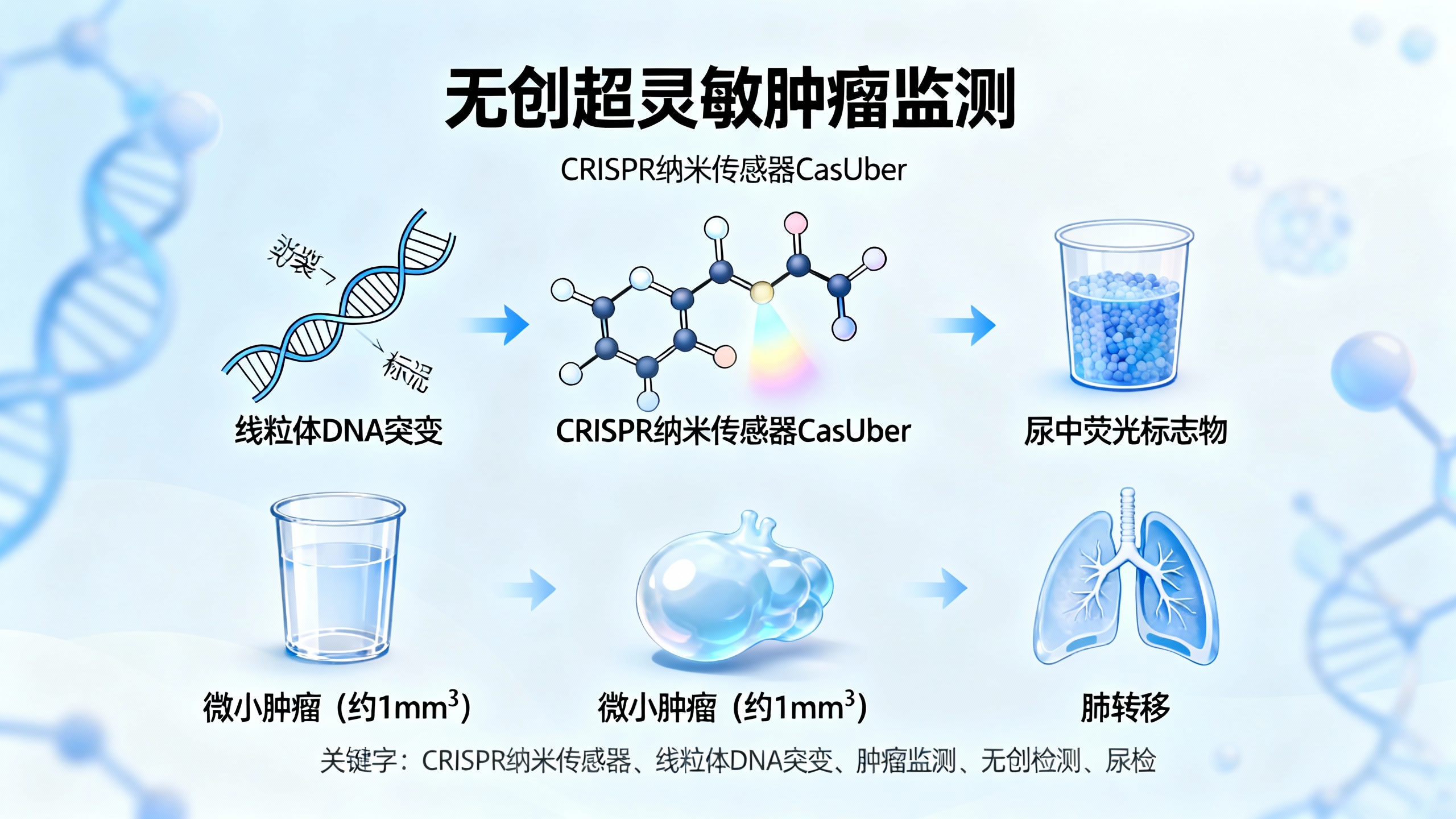 用纳米探针无创监测肿瘤发展和转移