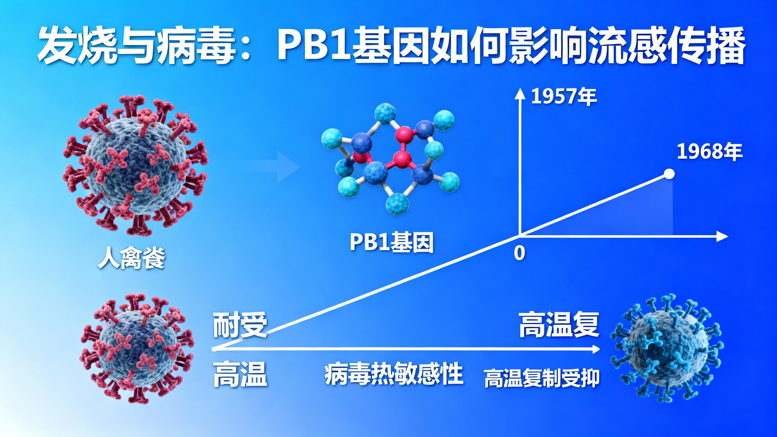 禽流感耐高温现象让科学家担忧
