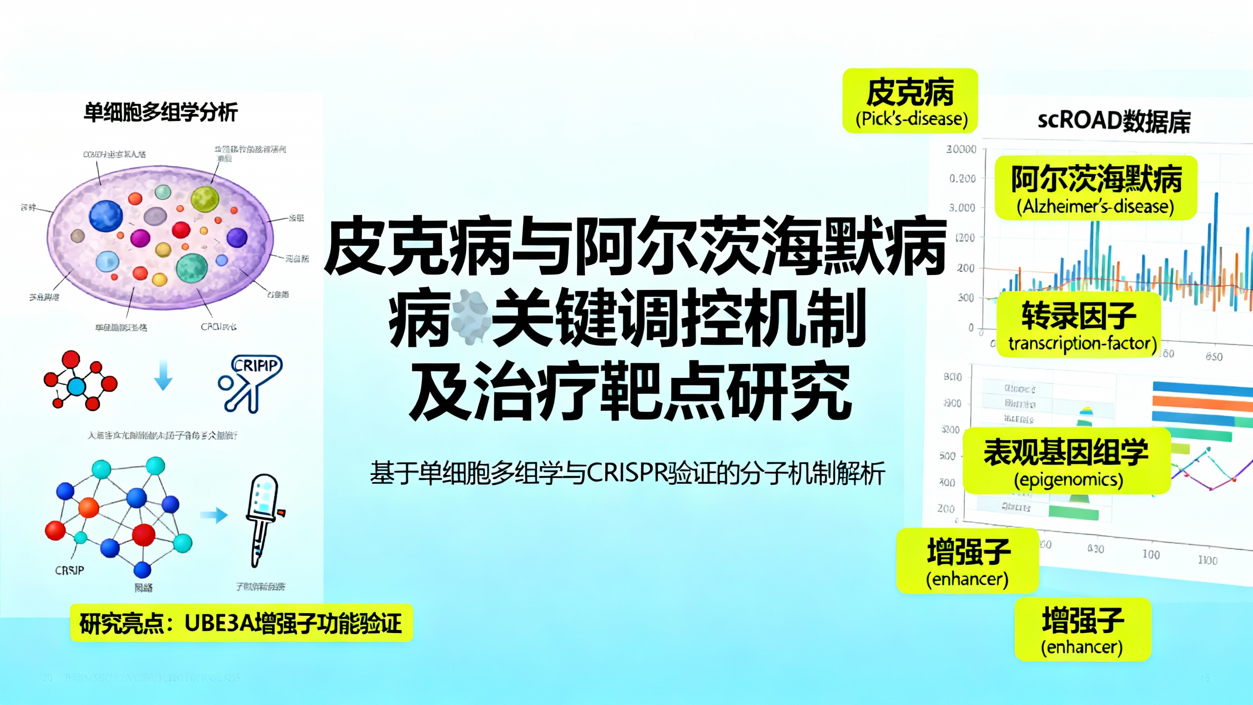 阿尔茨海默病与皮克病有何异同？科学家用新技术找到答案