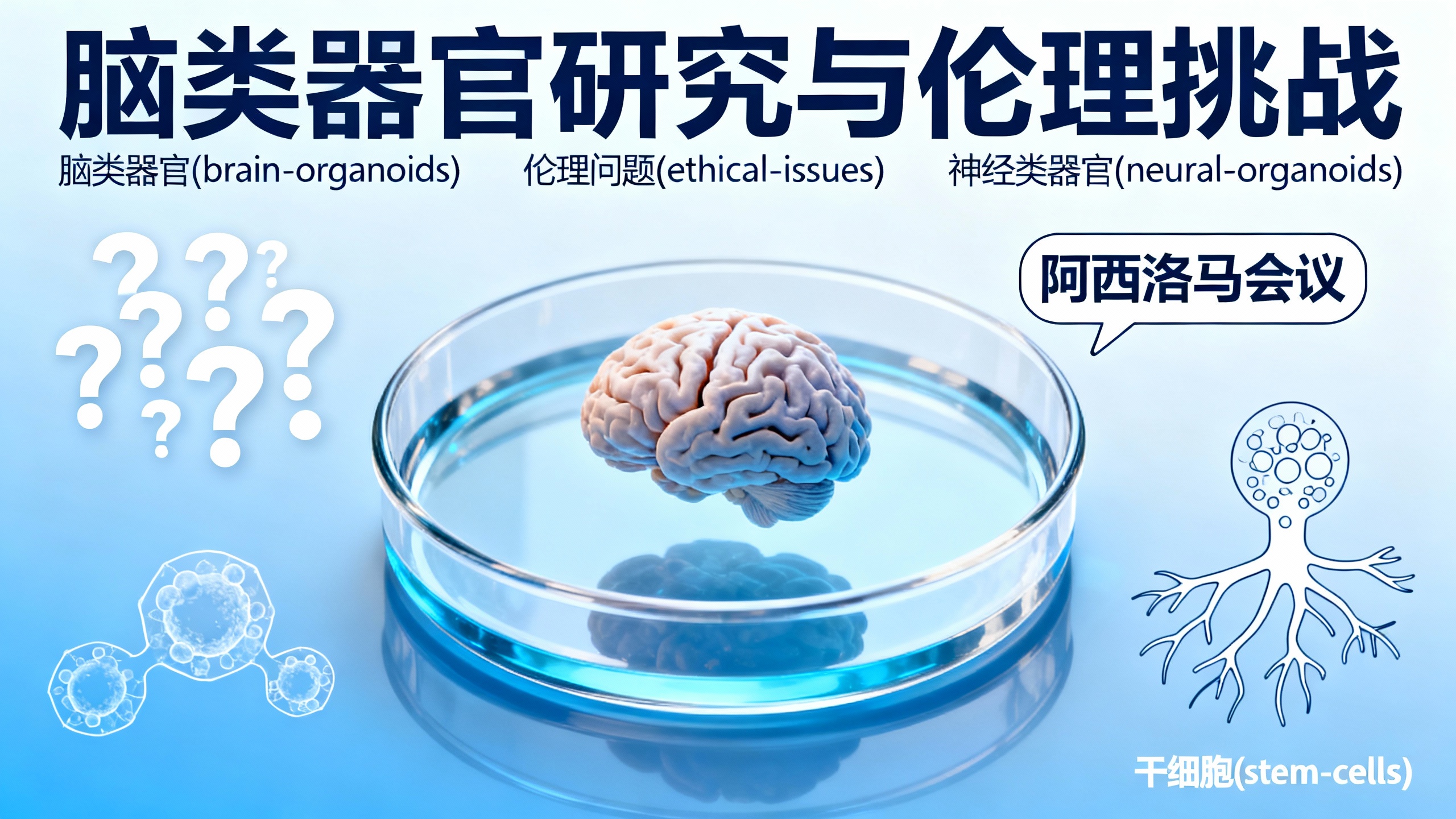 人造大脑模型发展迅速，伦理跟得上吗？