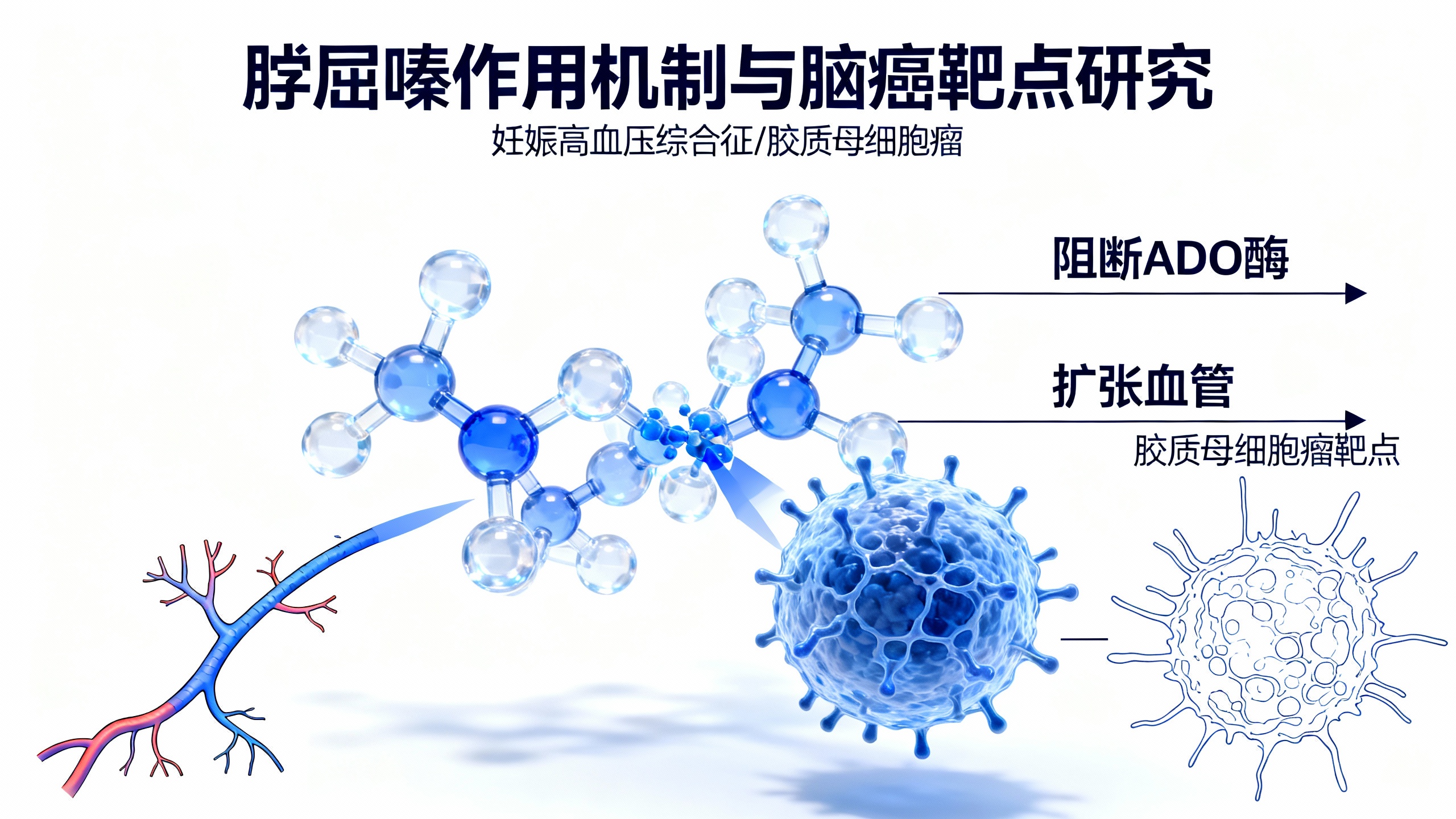 一种70年前的孕妇用药，竟意外发现能对付脑癌
