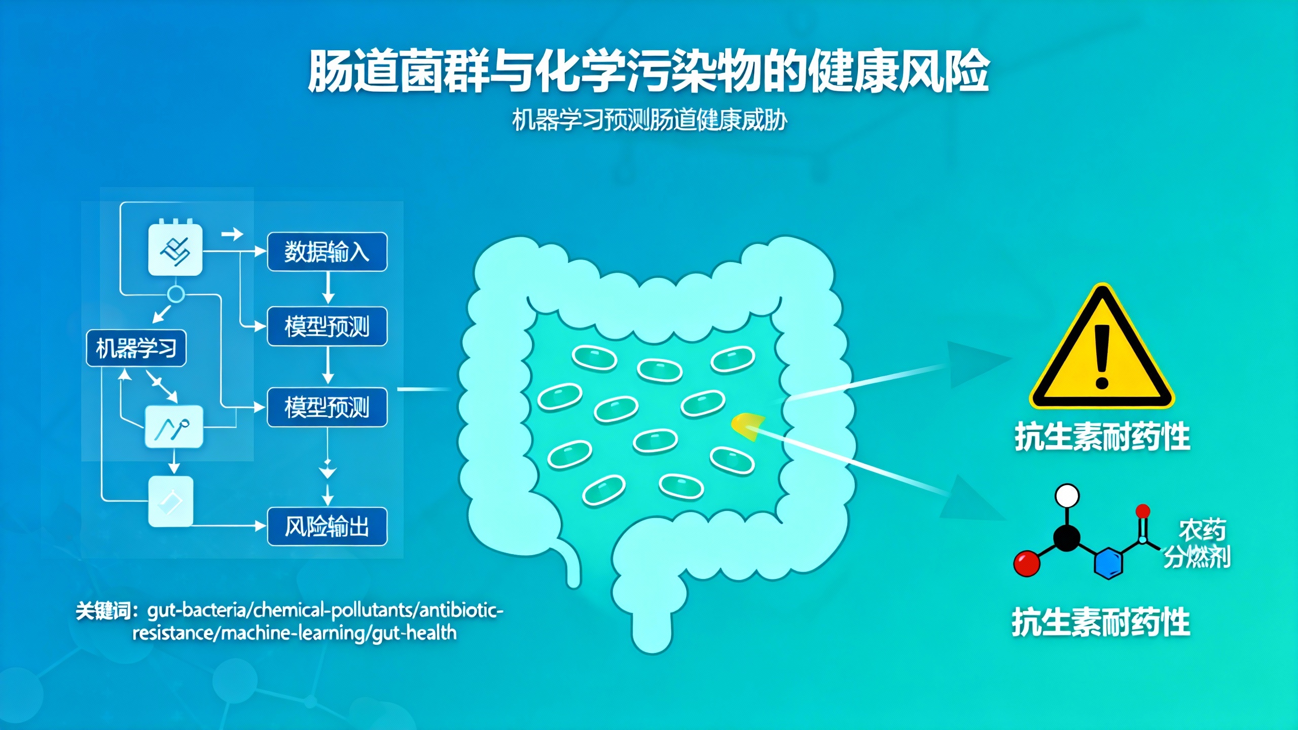 你的肠道正在被“毒害”吗？科学家揭开日常化学物质的隐秘影响