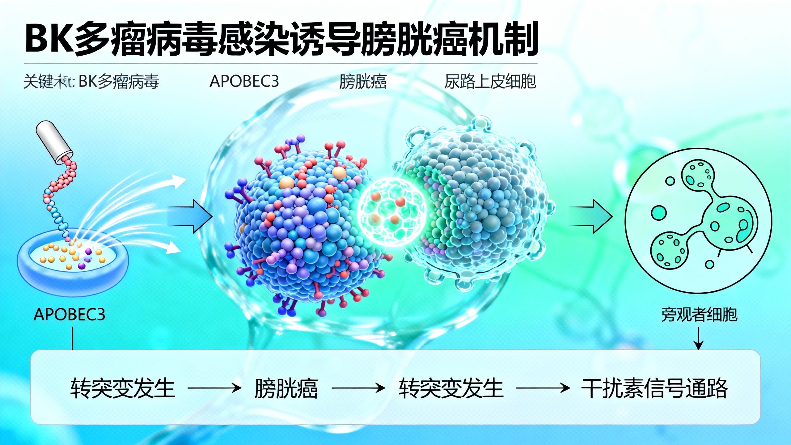 病毒诱发的基因突变或导致膀胱癌发生