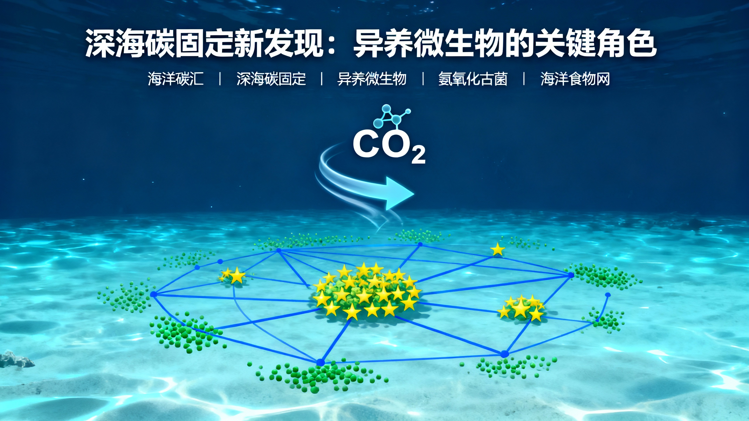深海竟然以意想不到的方式“锁住”碳