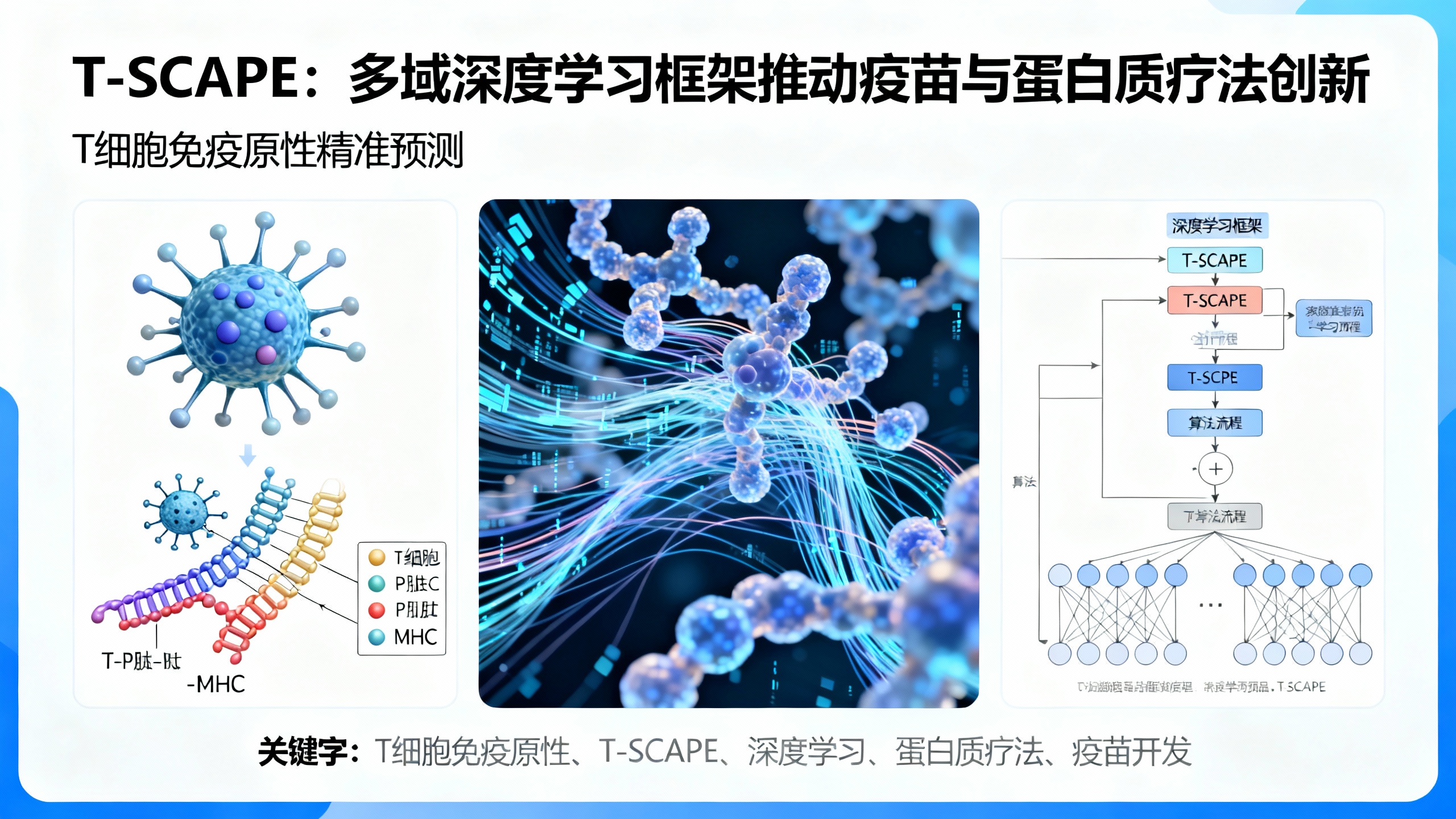T-SCAPE：用跨领域预测技术评估T细胞免疫反应