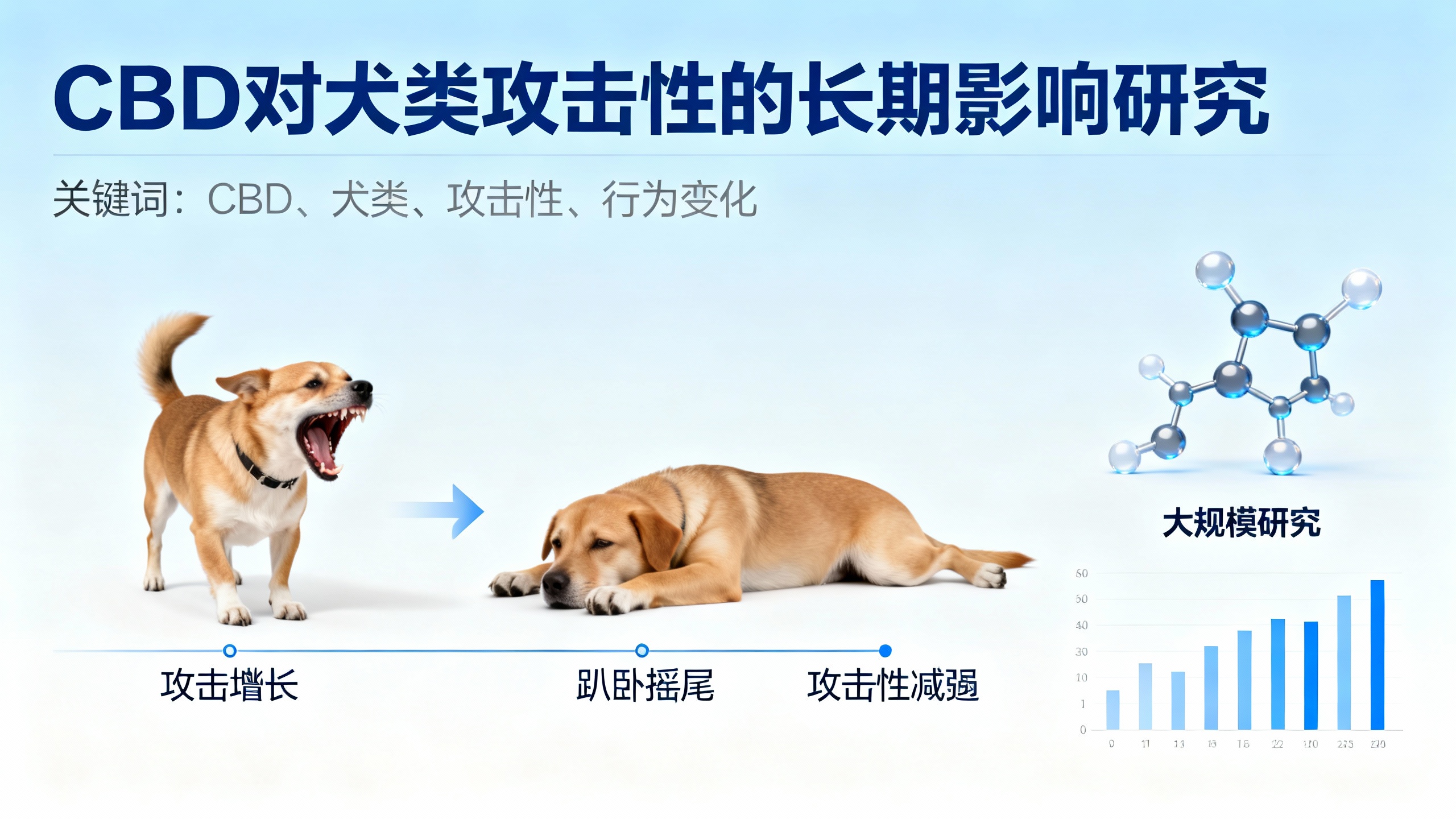 科学家研究了4.7万只狗狗使用CBD后，发现了一个意想不到的行为变化