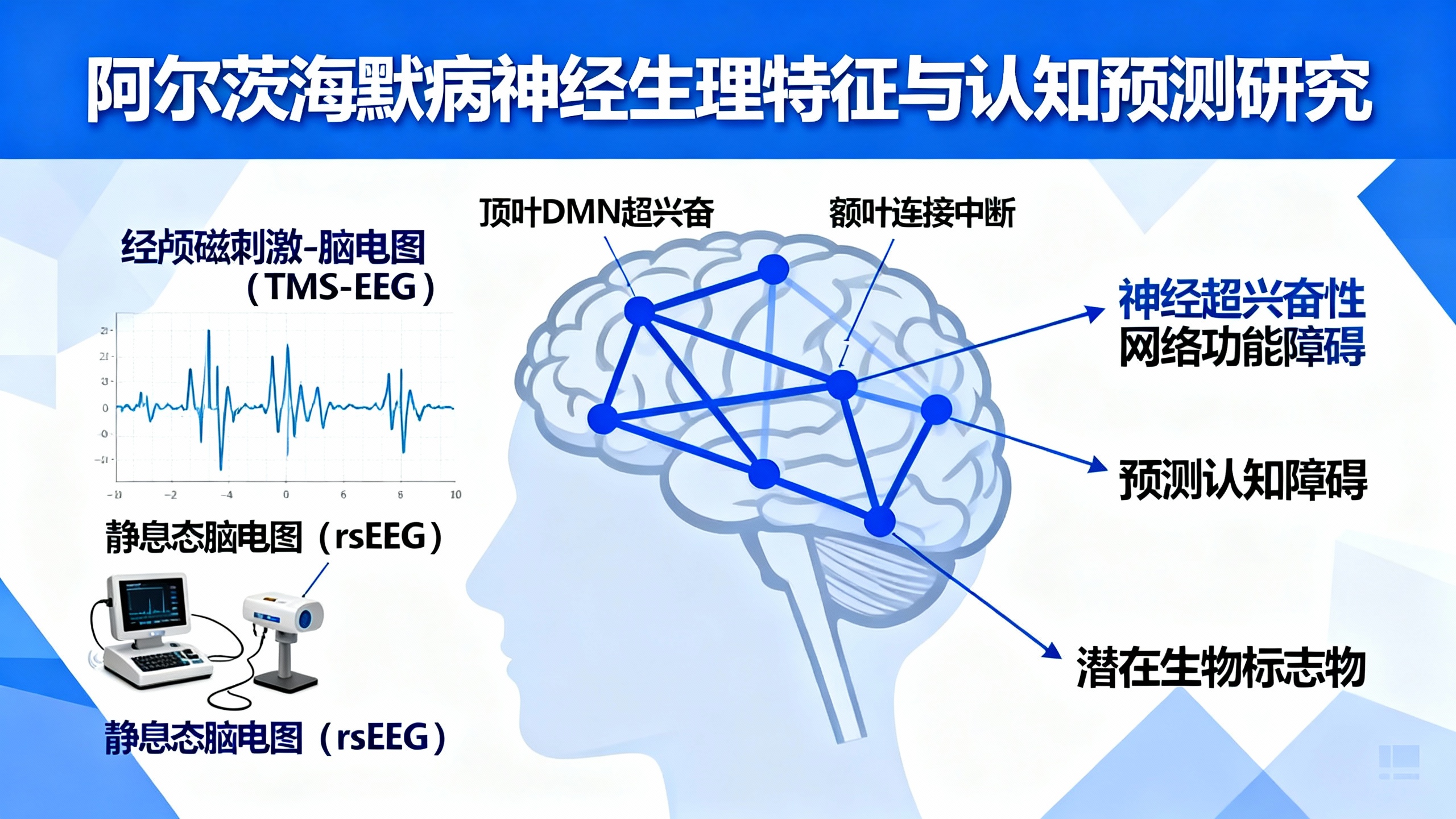 阿尔茨海默病中大脑默认网络异常与认知衰退的生理信号