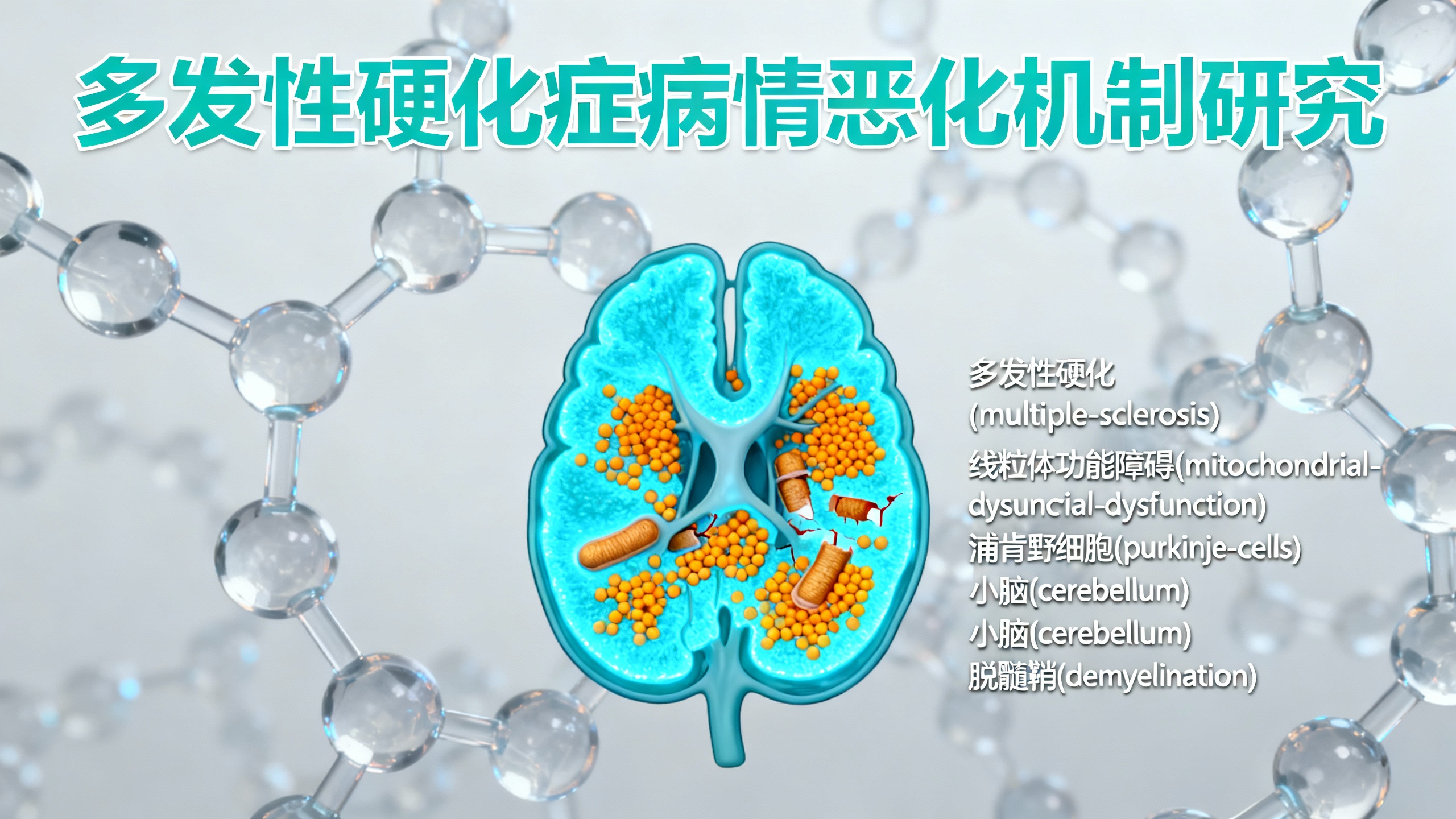 为什么多发性硬化会逐渐影响人的平衡和行动能力