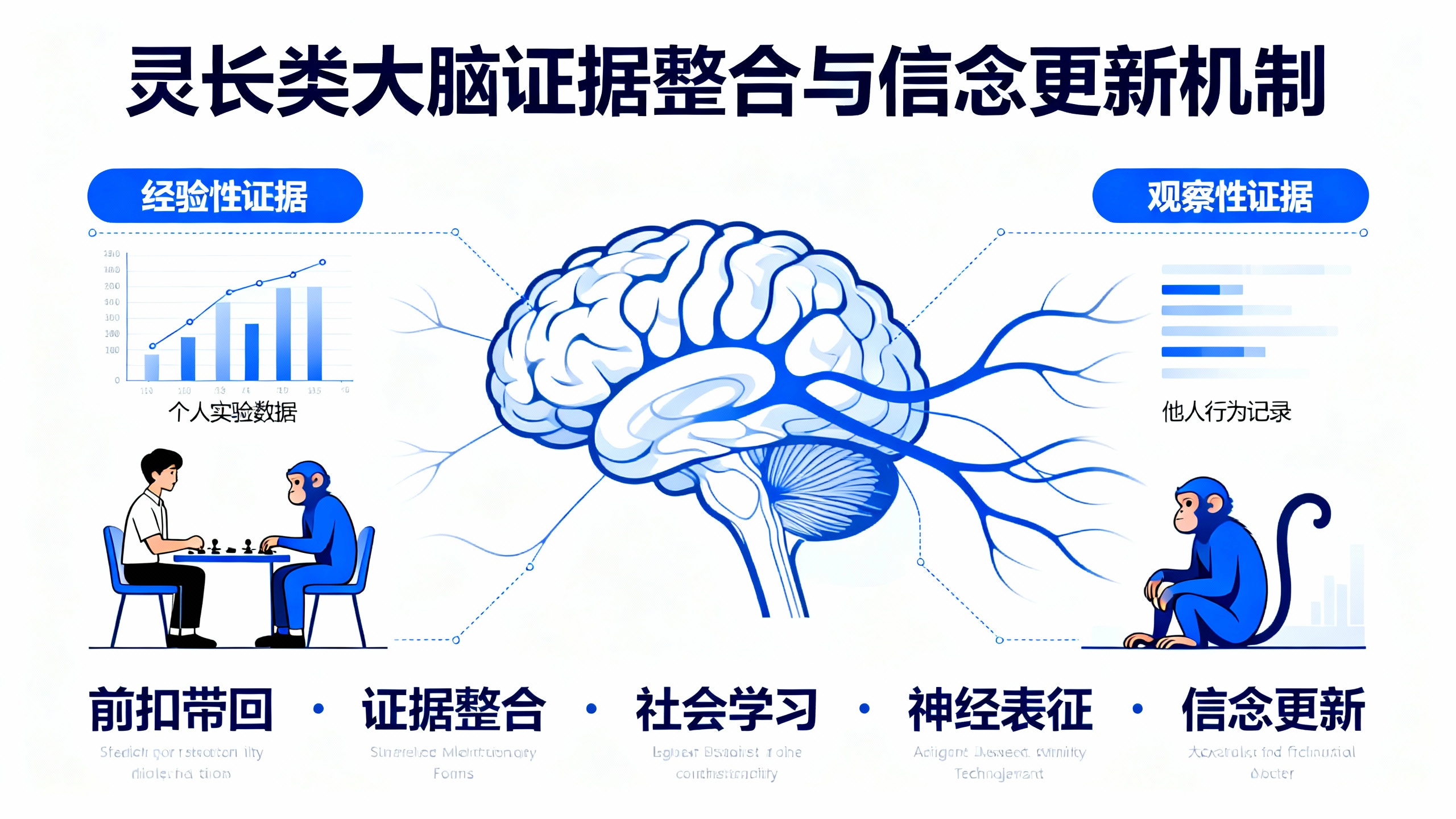 前扣带皮层如何通过经验和观察积累信息
