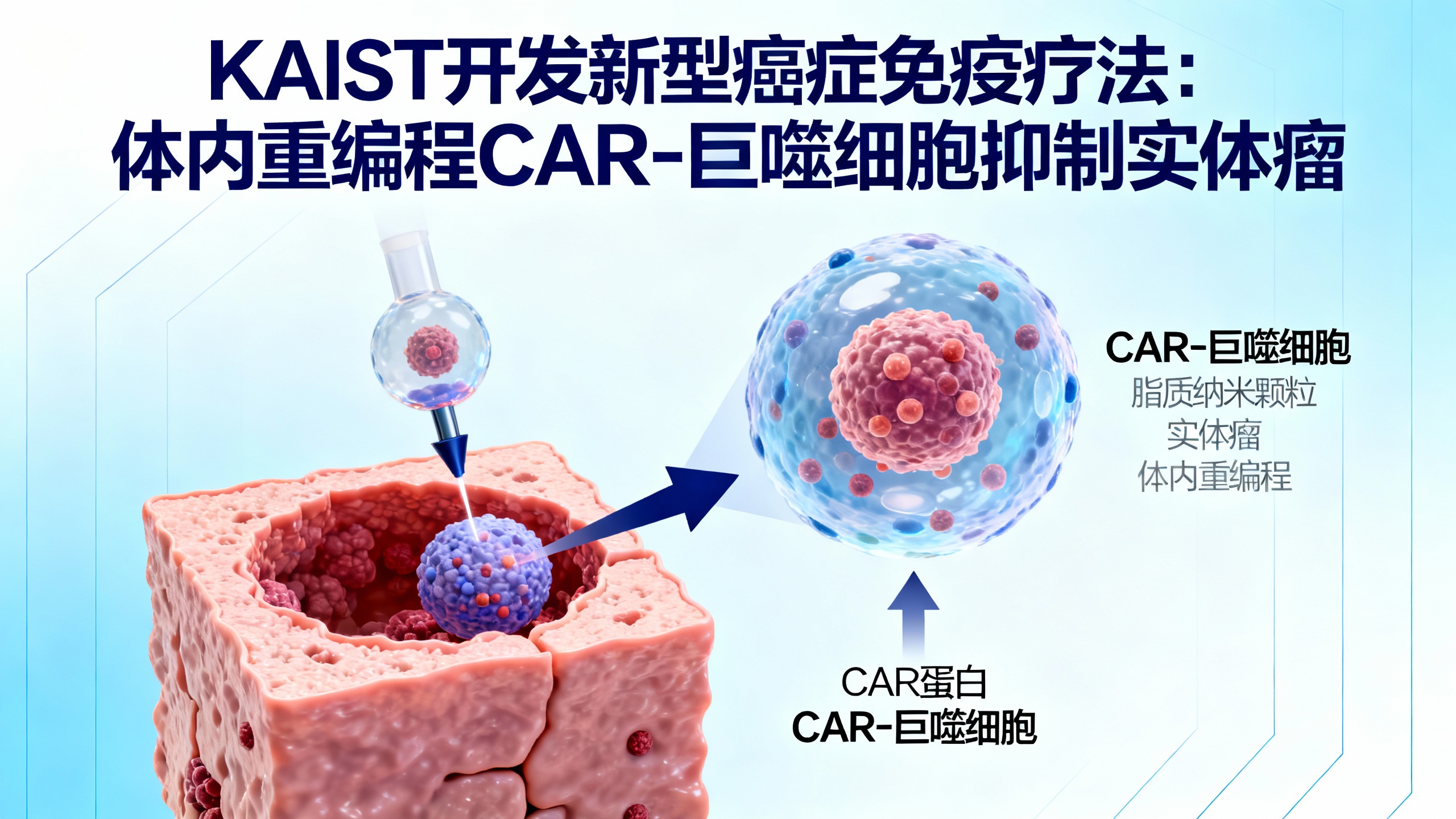 注射疗法让沉睡的免疫细胞变身抗癌战士