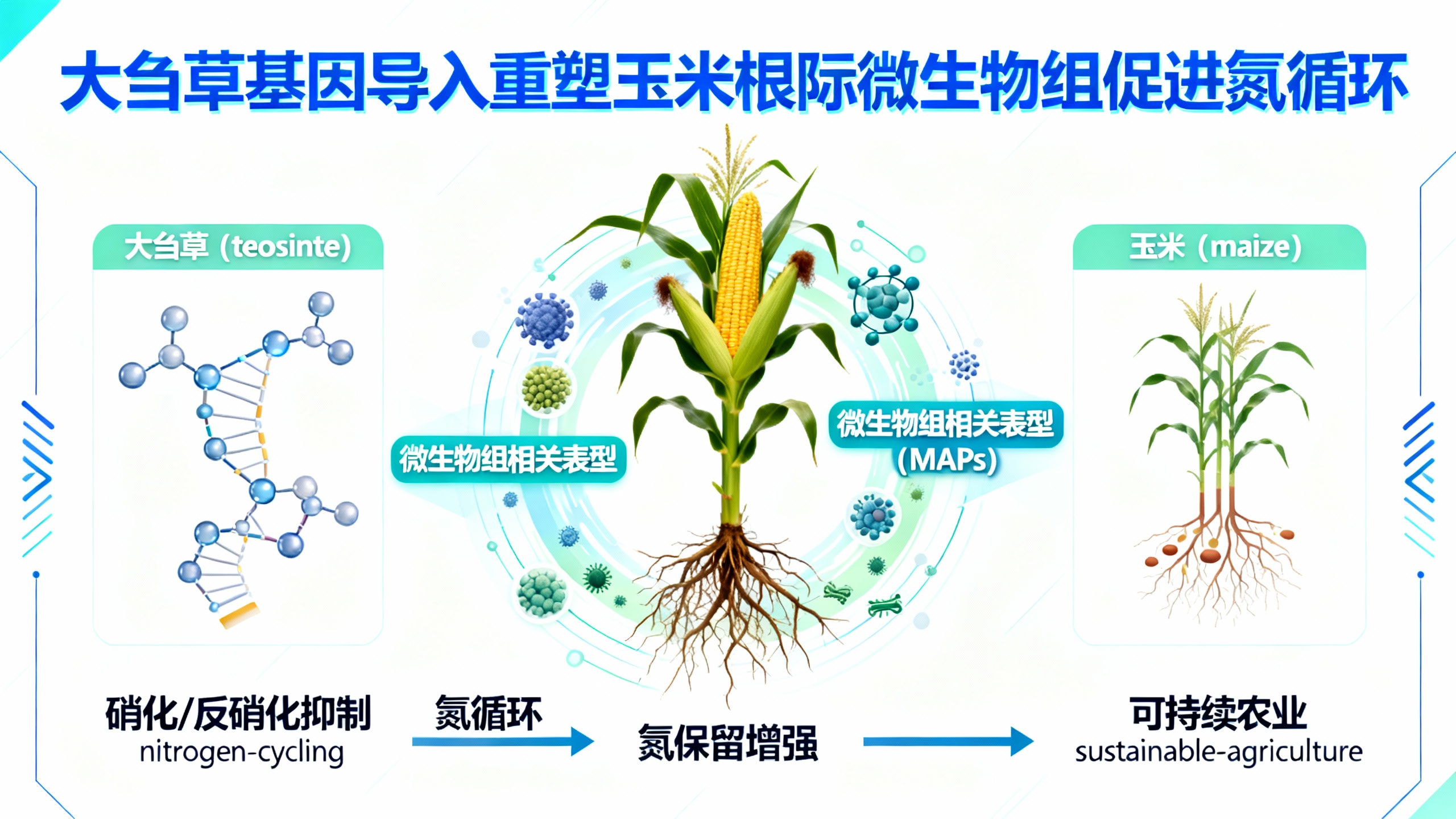 失而复得：重新发现改变农业可持续性的微生物奥秘