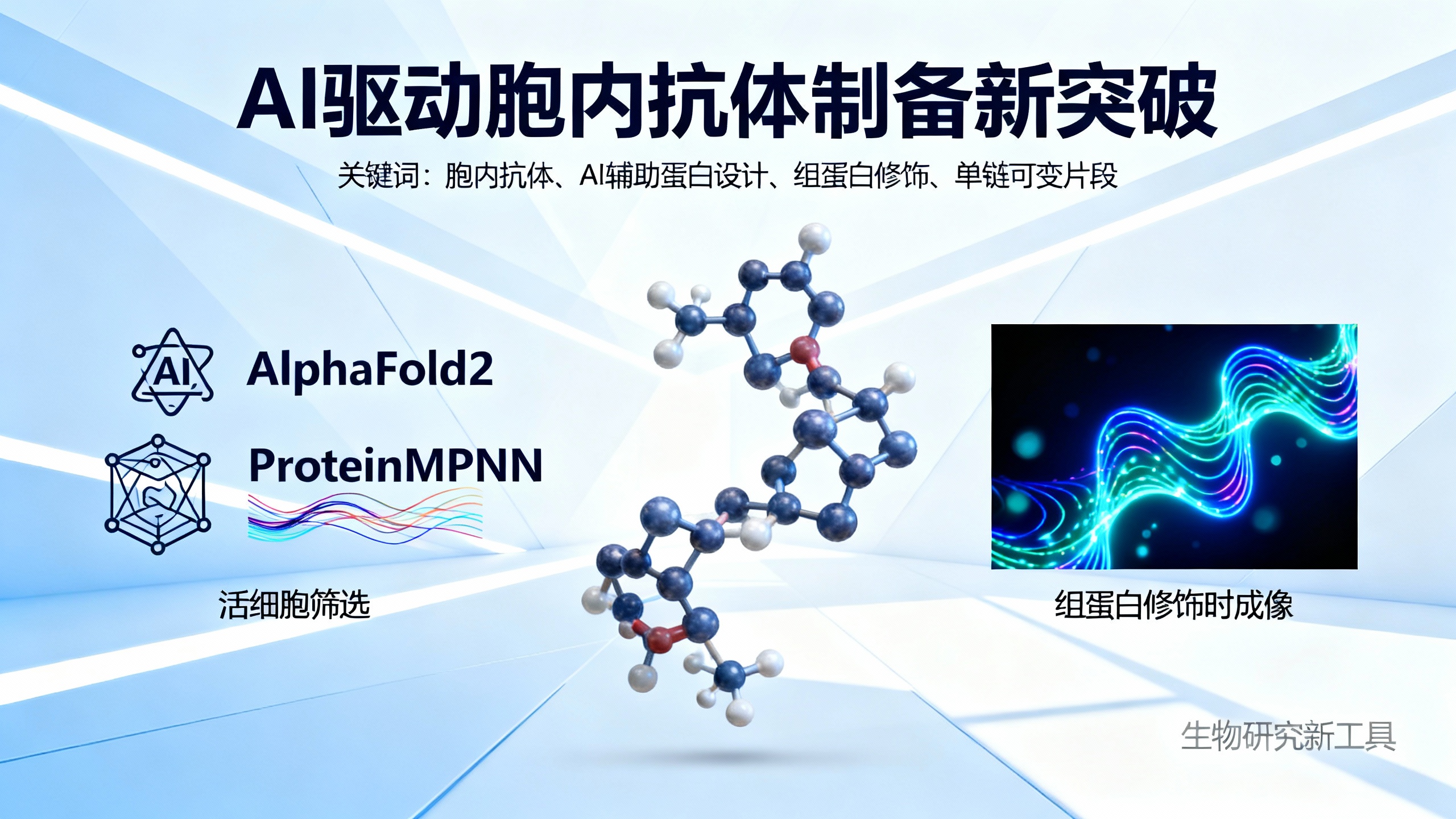 用AI设计蛋白质，快速将抗体变身为细胞内“迷你卫士”