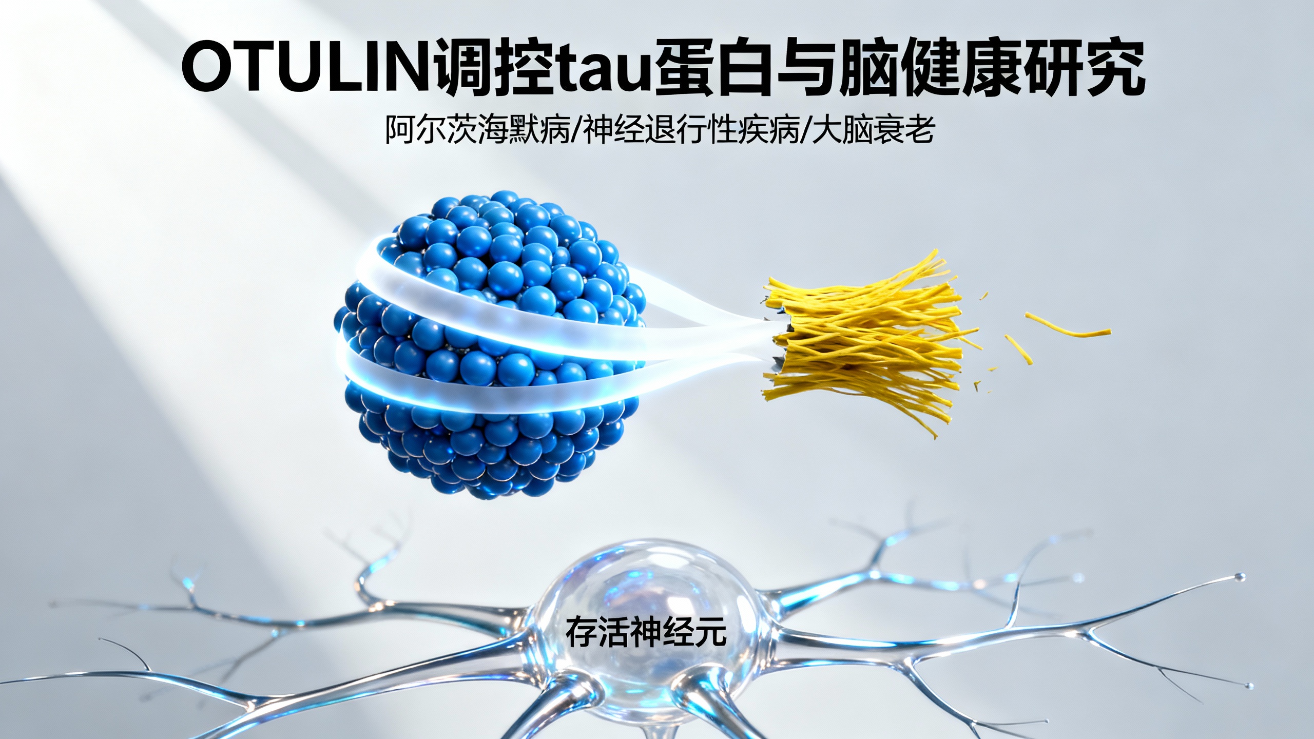 科学家发现可逆转大脑衰老的“关键开关”