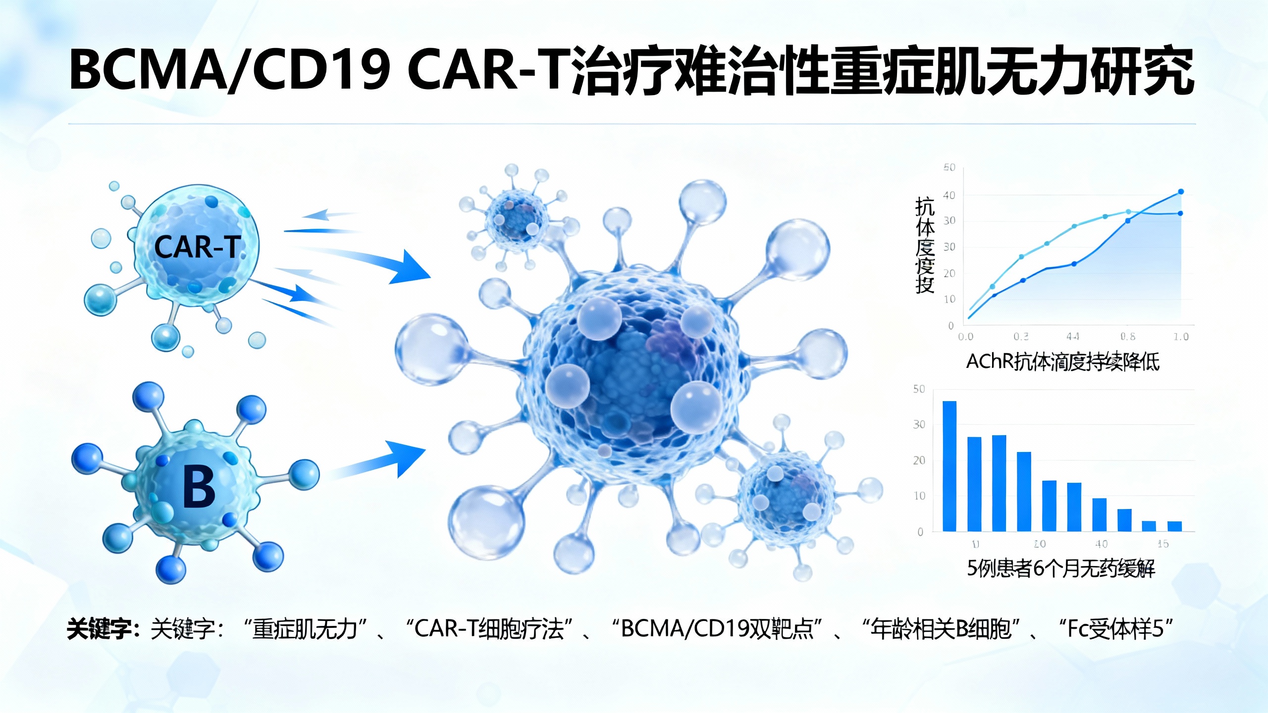 CAR-T细胞治疗难治性重症肌无力：疾病复发的蛋白特征与单细胞基因变化