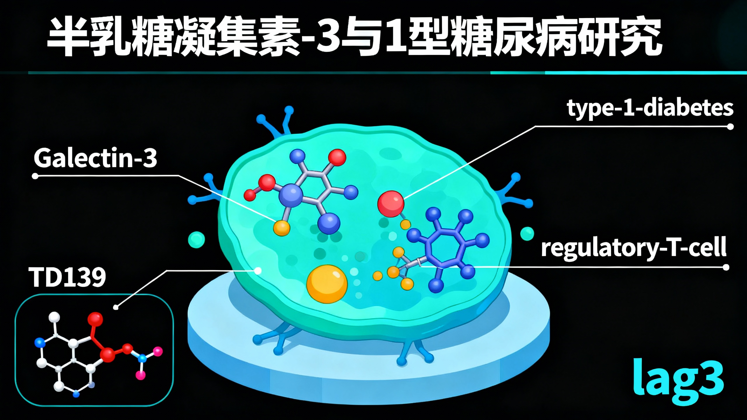 一种蛋白质加剧糖尿病：它会削弱免疫系统的“调节员”功能