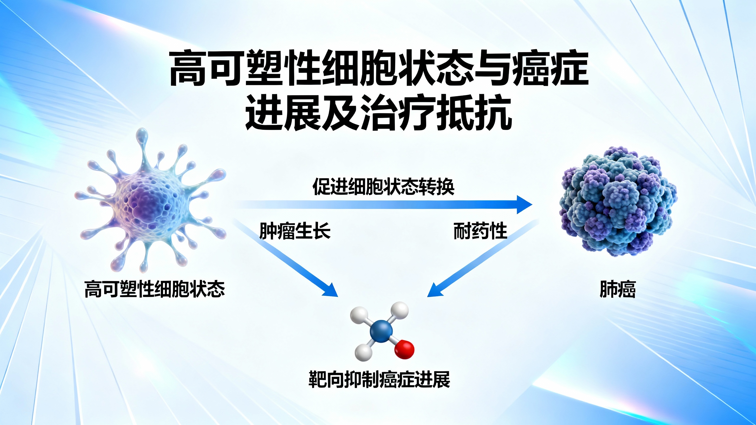 肺癌中一种高可变细胞状态的关键作用