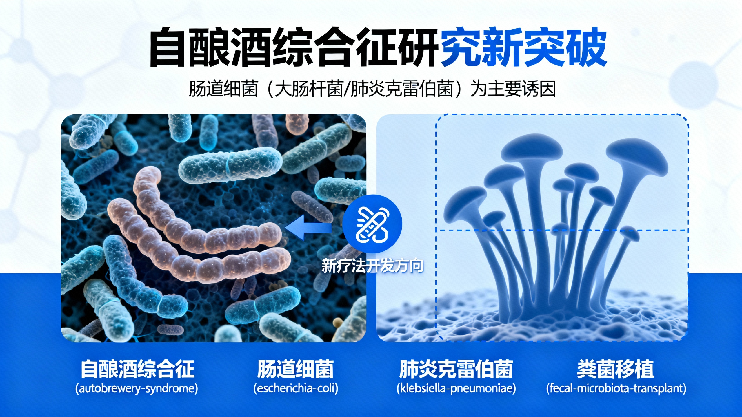 有些人喝酒不醉，却因肠道细菌“自酿自醉”