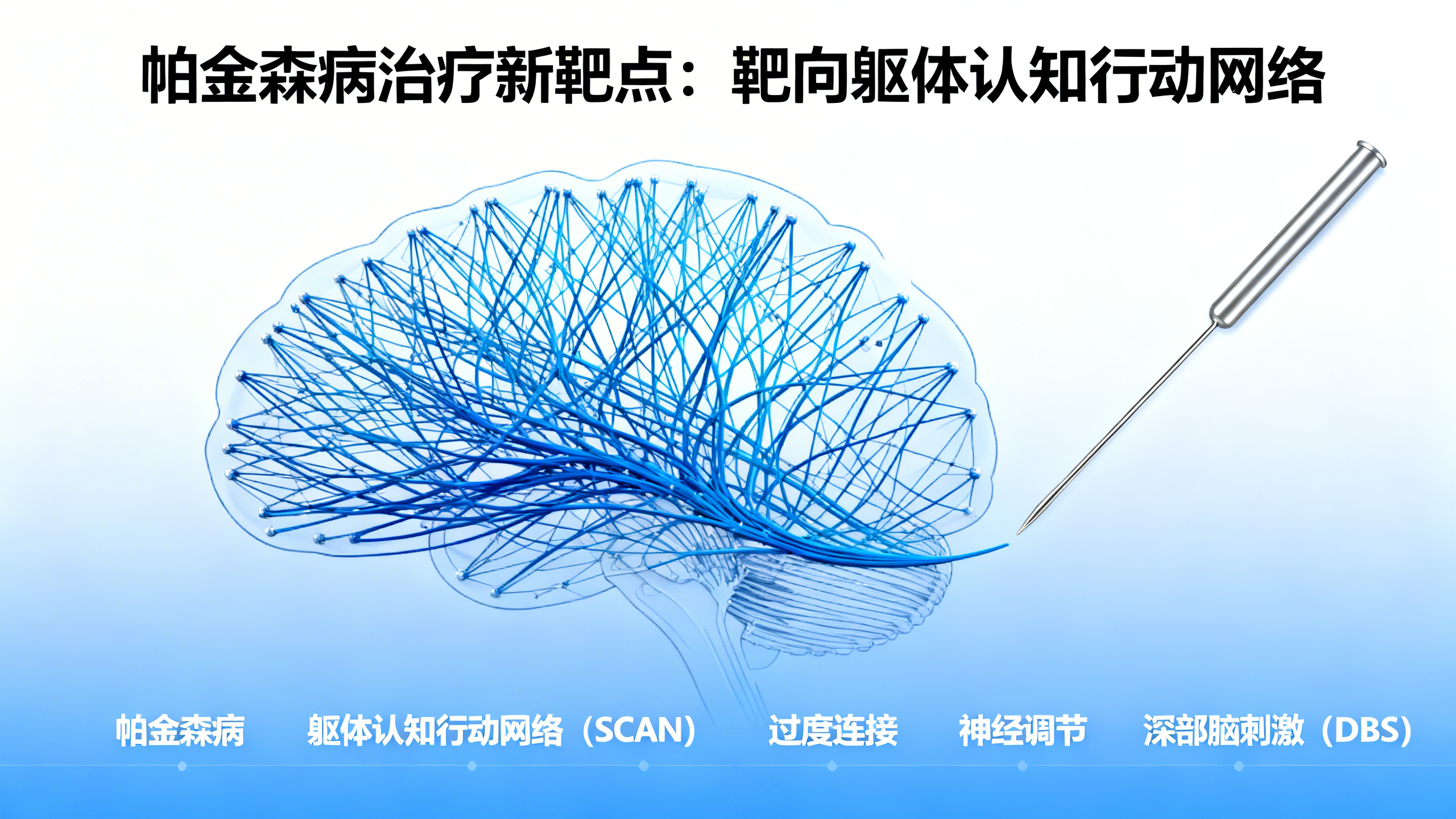 帕金森病：一种影响身体与思维协同行动的疾病