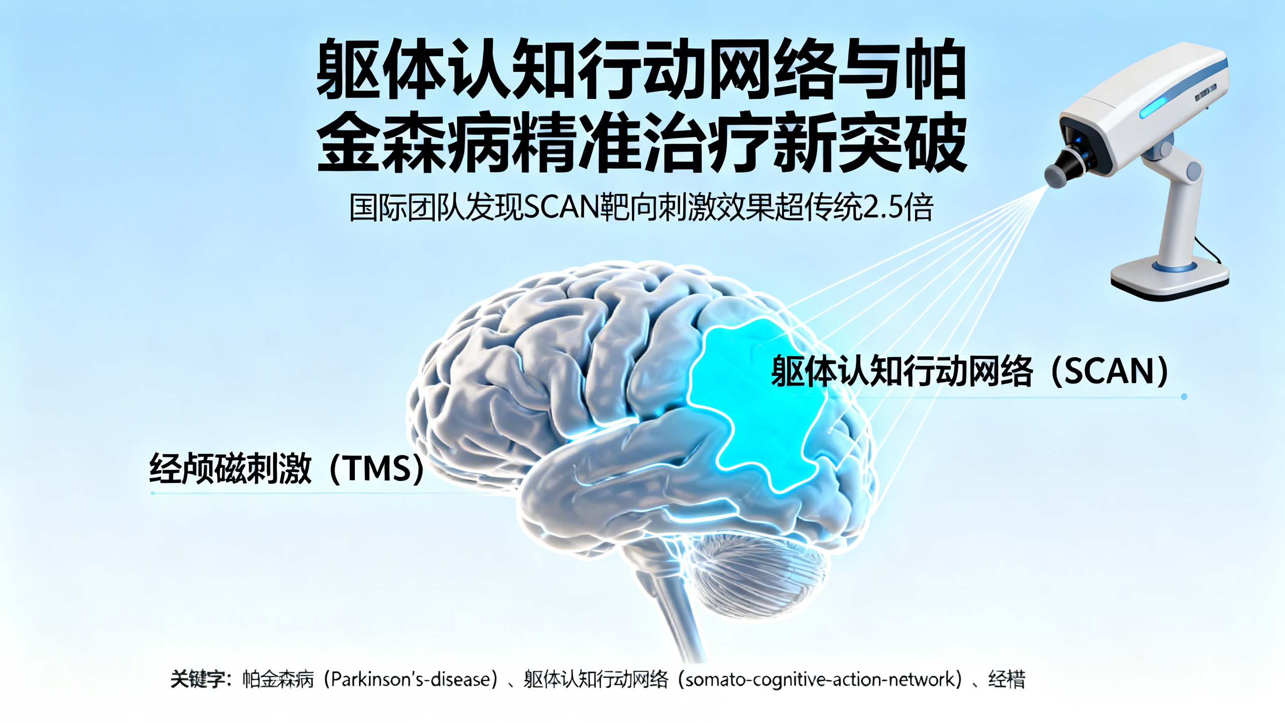 科学家可能找到了帕金森病的“大脑故障网络”