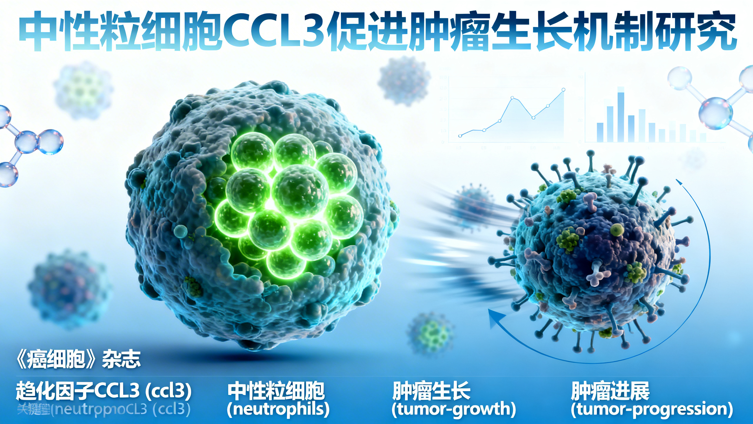 免疫细胞为何“倒戈”助癌？