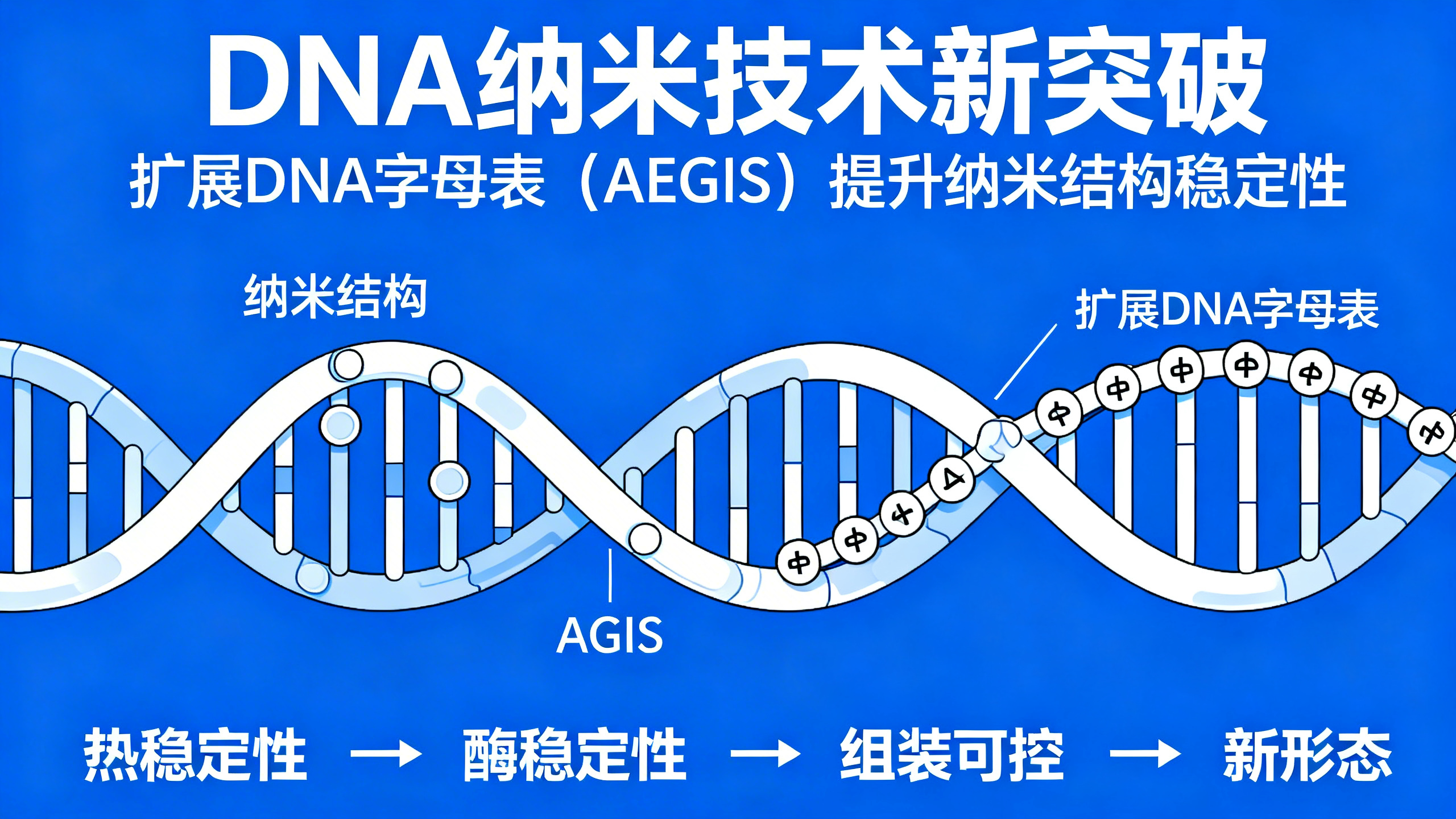 DNA字母表扩容，为纳米结构增添全新维度